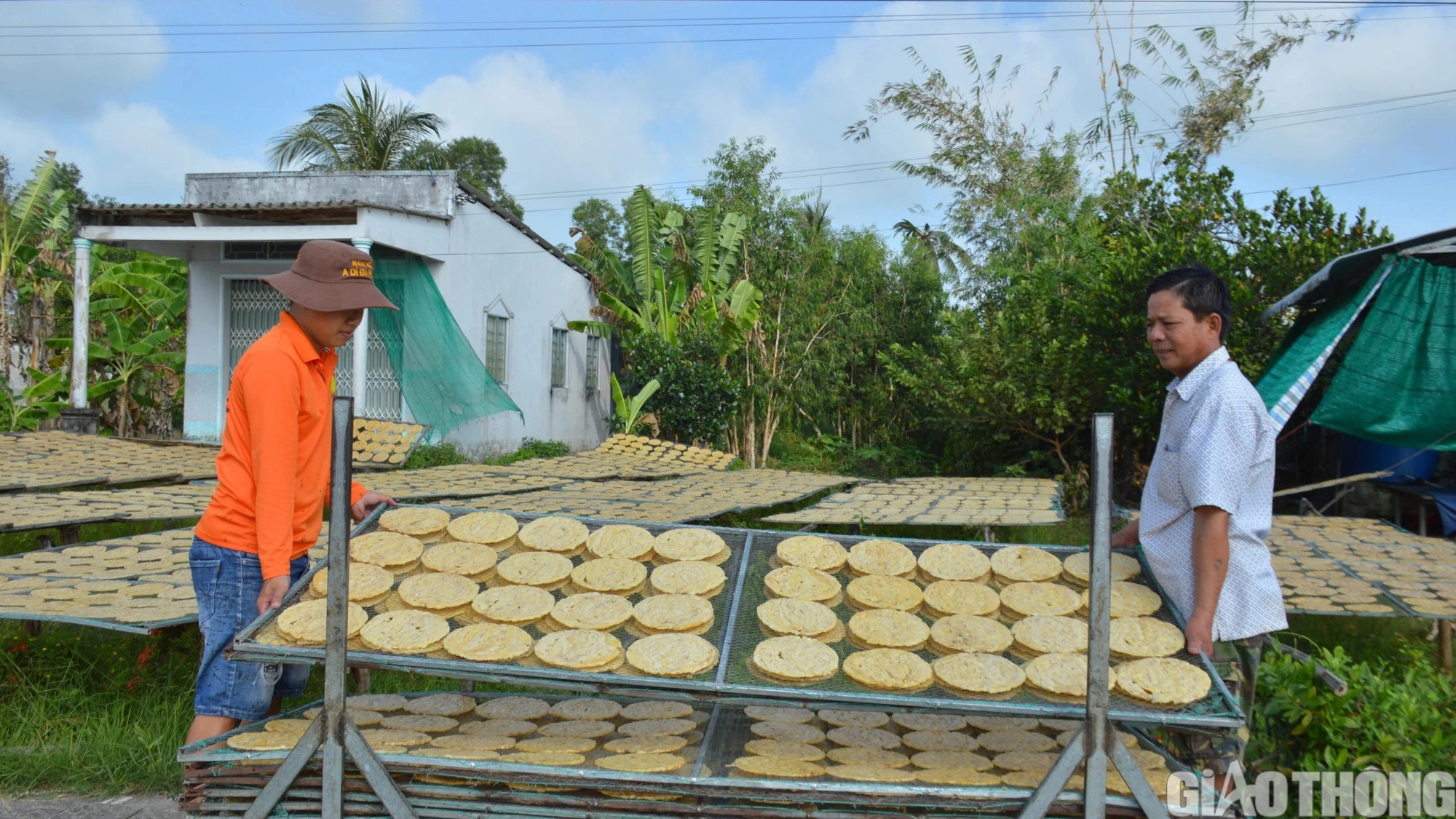 L&agrave;ng nghề &eacute;p chuối kh&ocirc; nổi tiếng C&agrave; Mau tất bật v&agrave;o vụ Tết- Ảnh 11.