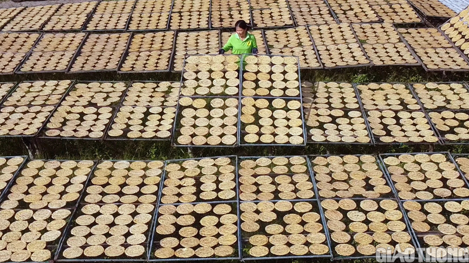 L&agrave;ng nghề &eacute;p chuối kh&ocirc; nổi tiếng C&agrave; Mau tất bật v&agrave;o vụ Tết- Ảnh 12.