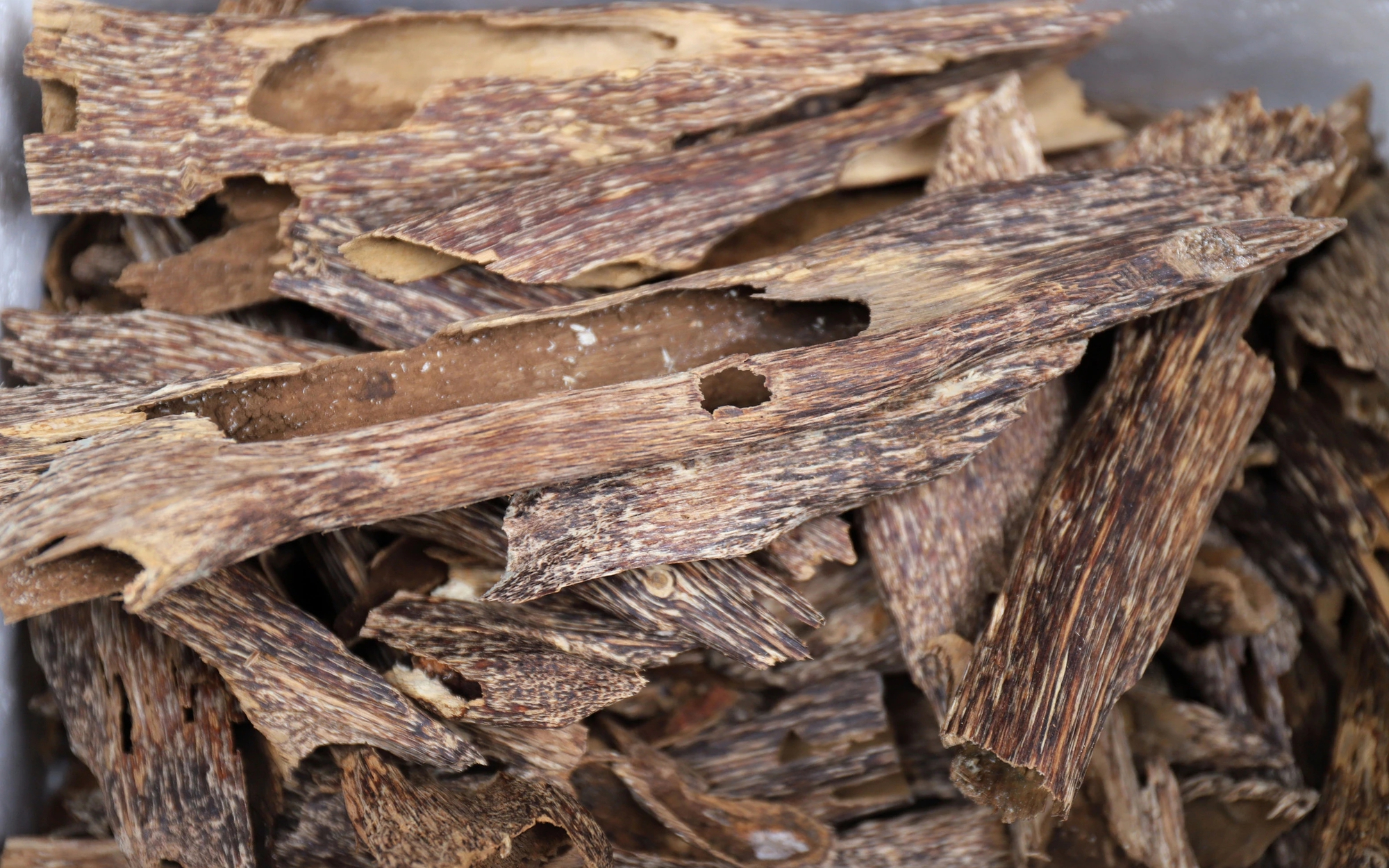 Về l&agrave;ng đẽo c&acirc;y t&igrave;m trầm nức tiếng ở H&agrave; Tĩnh- Ảnh 6.