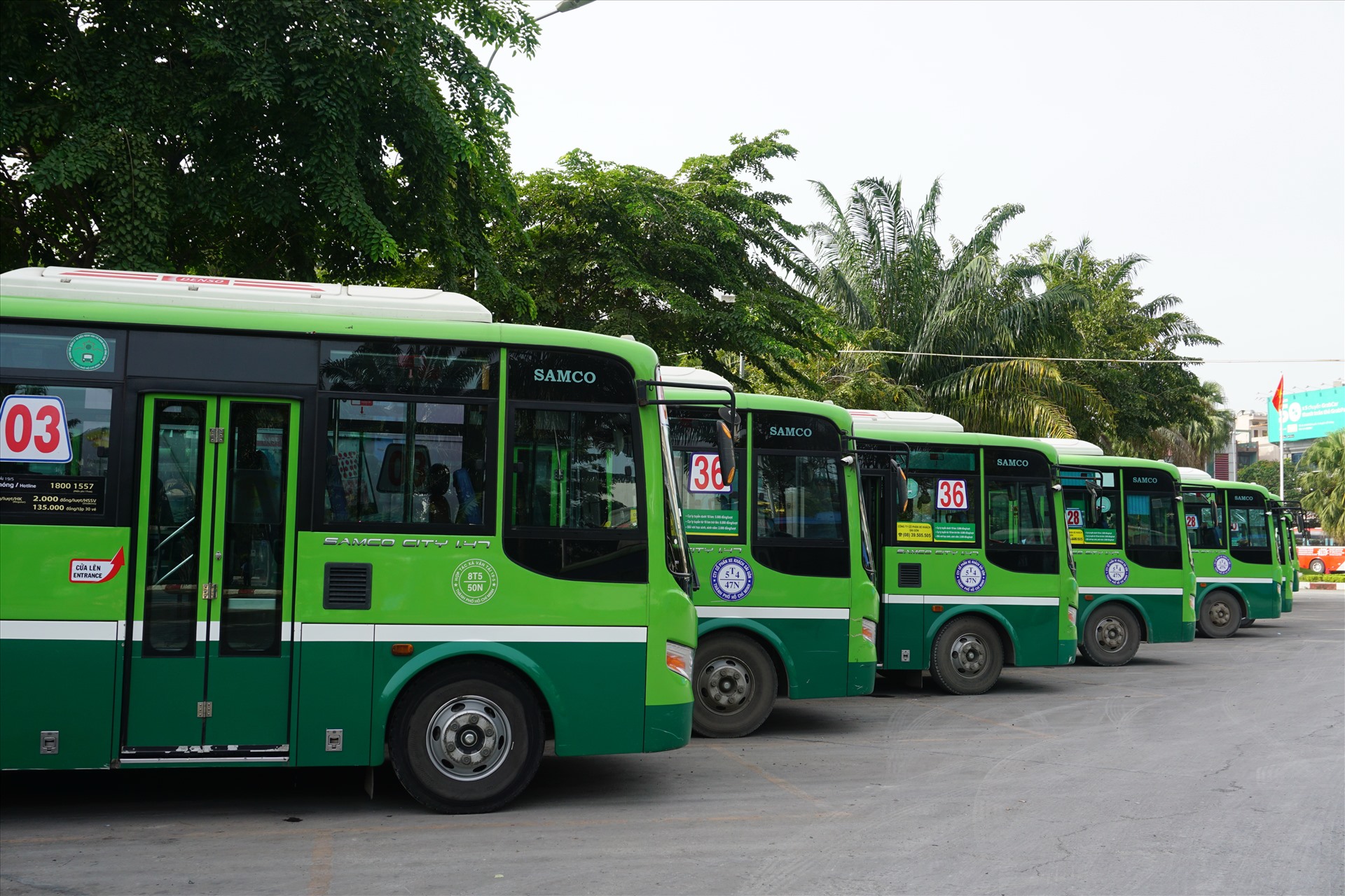 Sắp vận h&agrave;nh tuyến xe bu&yacute;t từ Nam Định - H&agrave; Nội- Ảnh 1.