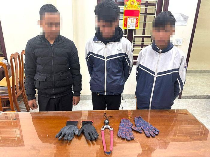 Nh&oacute;m thanh ni&ecirc;n nghiện game đập h&agrave;ng loạt k&iacute;nh &ocirc; t&ocirc; trộm cắp t&agrave;i sản- Ảnh 1.