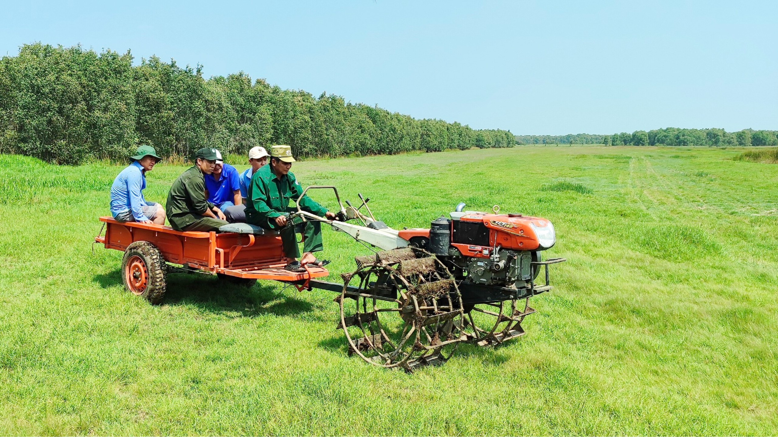 N&eacute;t đẹp hoa ho&agrave;ng đầu ấn ở vườn quốc gia Tr&agrave;m Chim- Ảnh 2.