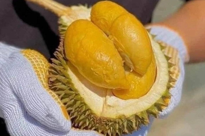 Loại tr&aacute;i c&acirc;y ăn 