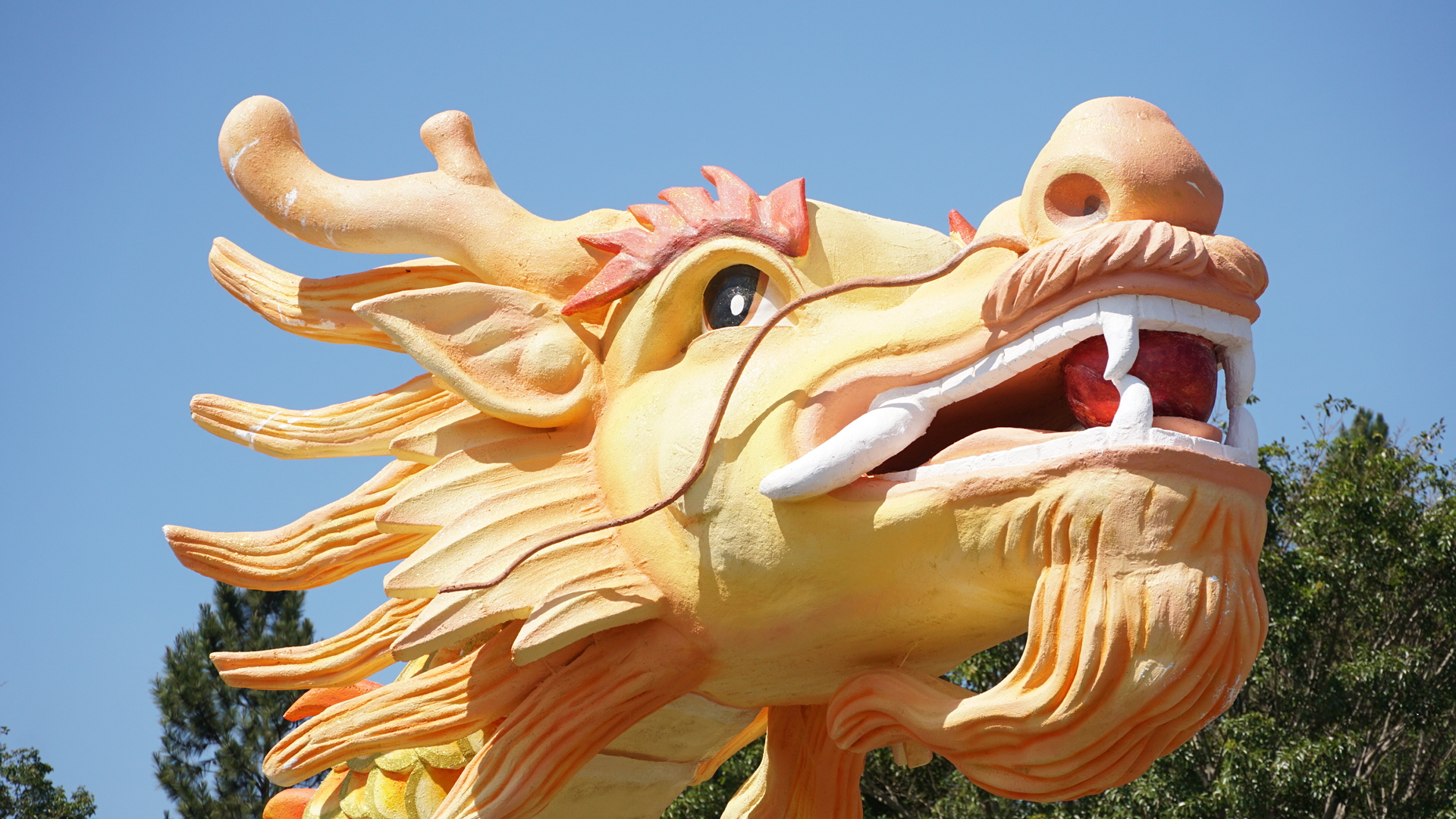 Linh vật rồng xanh độc đ&aacute;o chưa từng c&oacute; sẽ xuất hiện ở TP Pleiku- Ảnh 5.