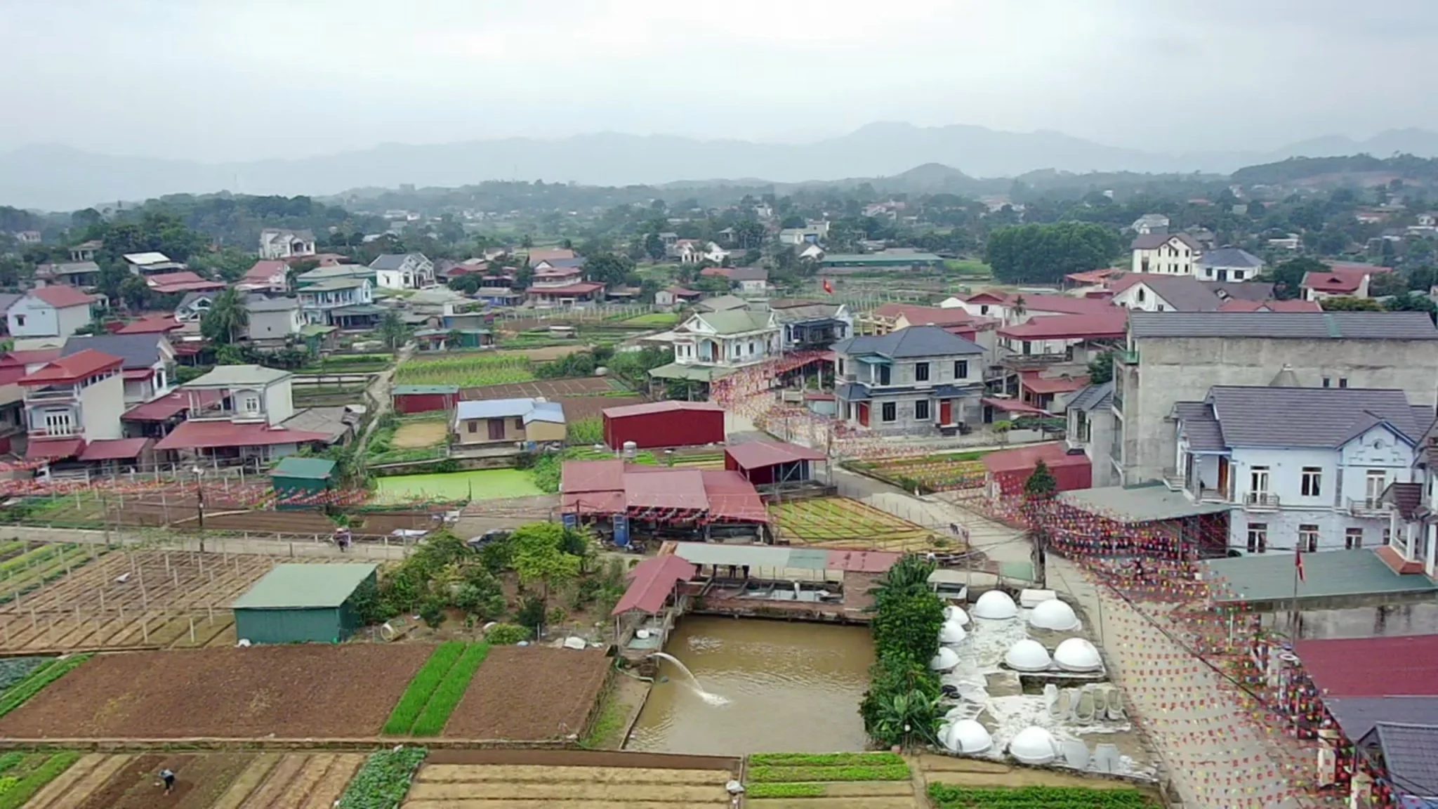 Thủ phủ cá chép đỏ Thuỷ Trầm và bí kíp chăm sóc Thủ phủ cá chép đỏ Thuỷ Trầm và bí kíp chăm sóc