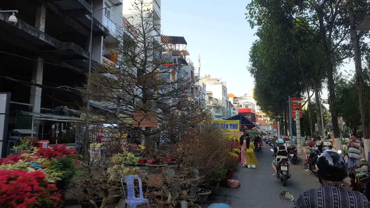 Giảm số lượng hoa Tết, người trồng đủng đỉnh đưa hoa l&ecirc;n chợ- Ảnh 5.