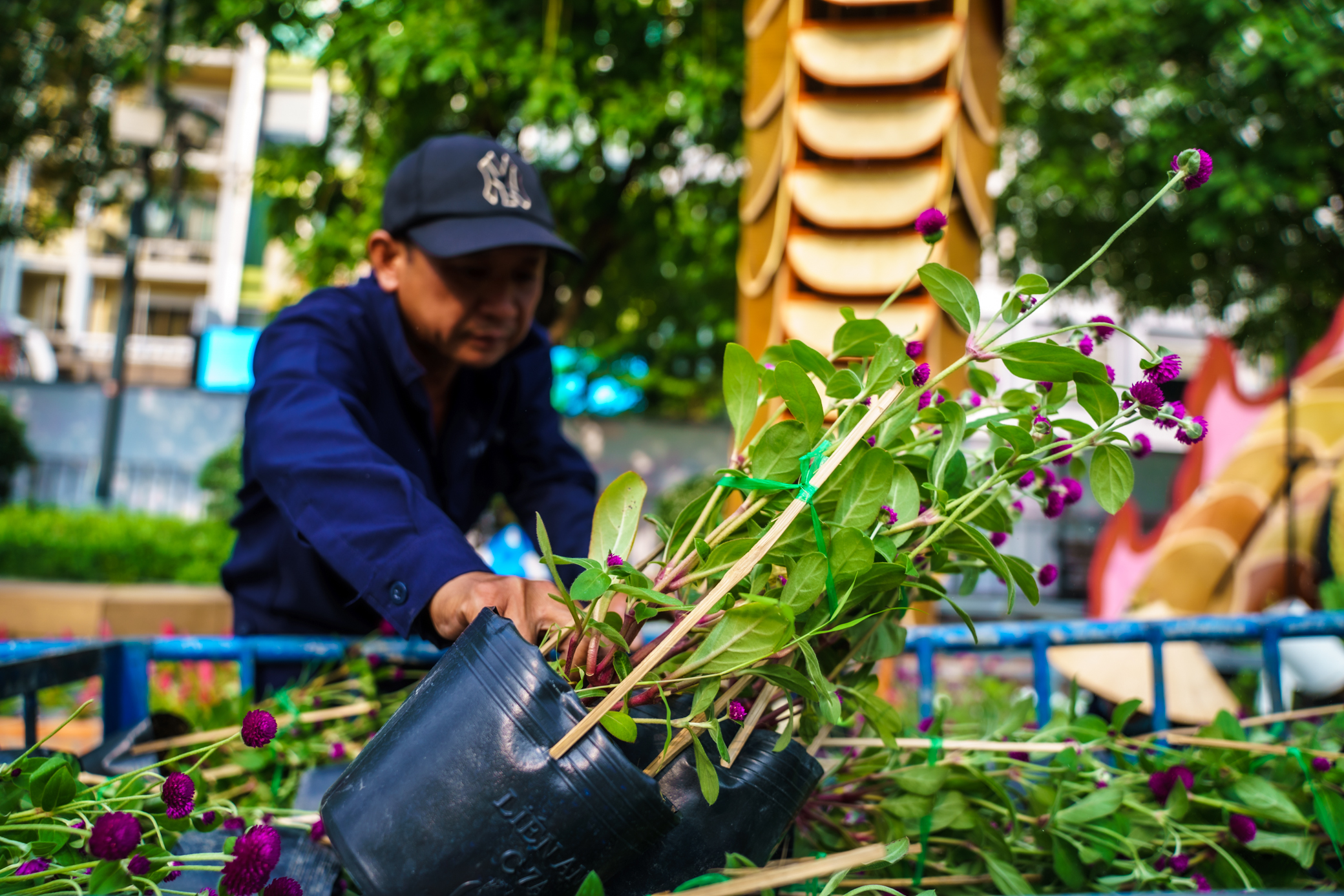 Tr&ograve;n mắt ngắm đ&ocirc;i rồng hơn 100m uốn lượn ở đường hoa Tết Nguyễn Huệ- Ảnh 9.