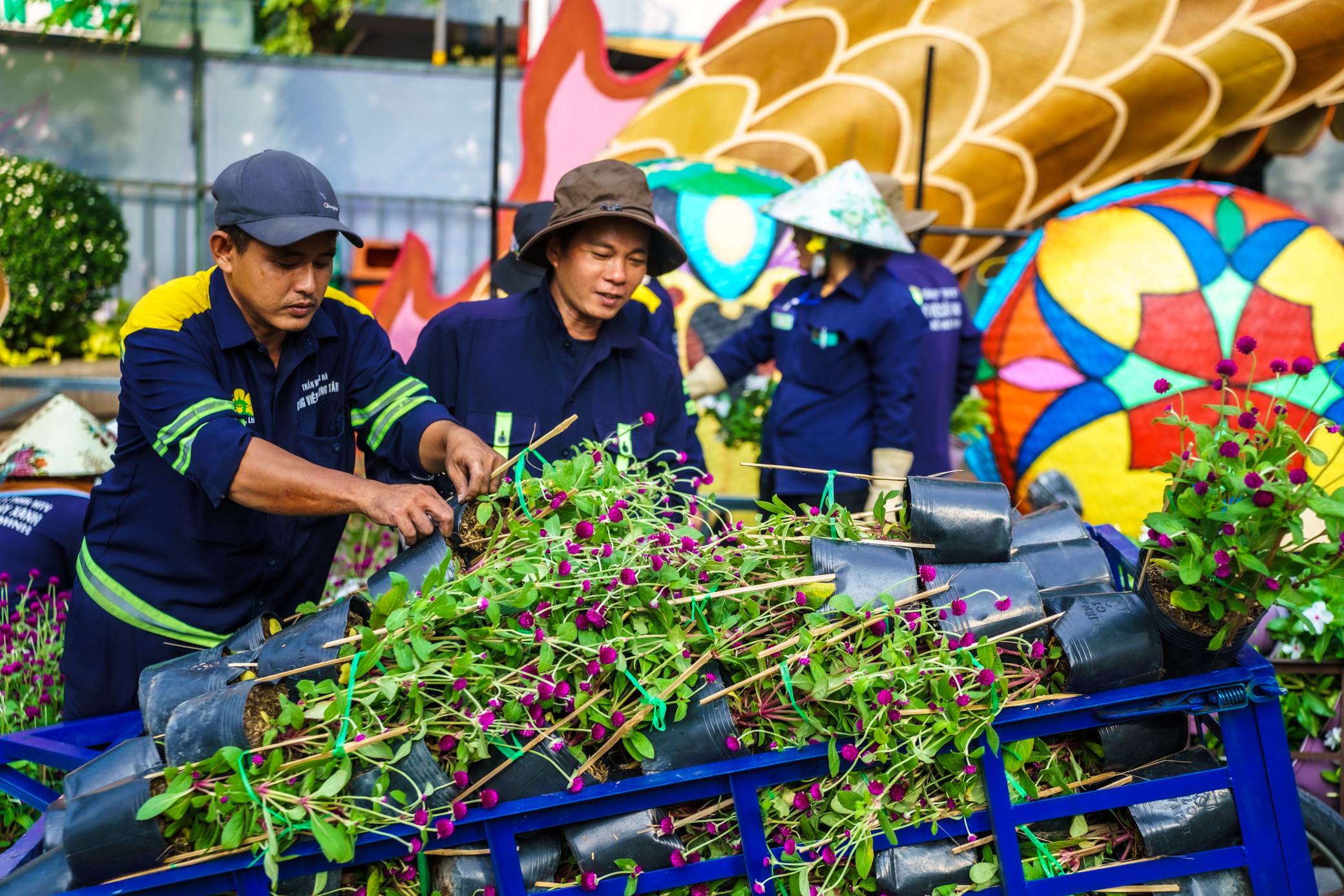 Tr&ograve;n mắt ngắm đ&ocirc;i rồng hơn 100m uốn lượn ở đường hoa Tết Nguyễn Huệ- Ảnh 7.