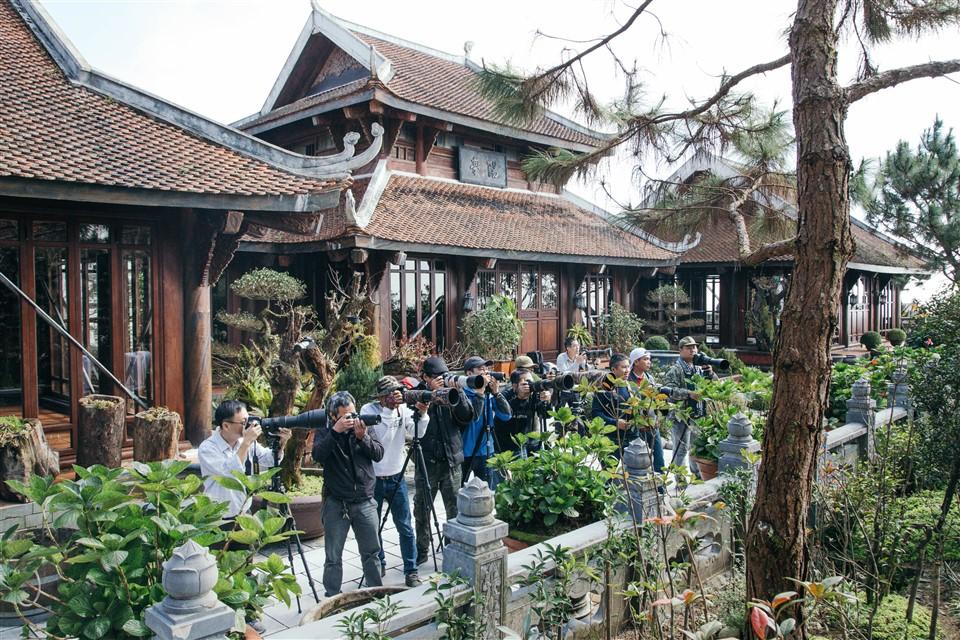 Hoa đào chuông báo xuân ngợp ngời trên đỉnh Bà Nà- Ảnh 6. C:\Users\haht02\Desktop\Dao chuong rz\dao chuong (11).jpg