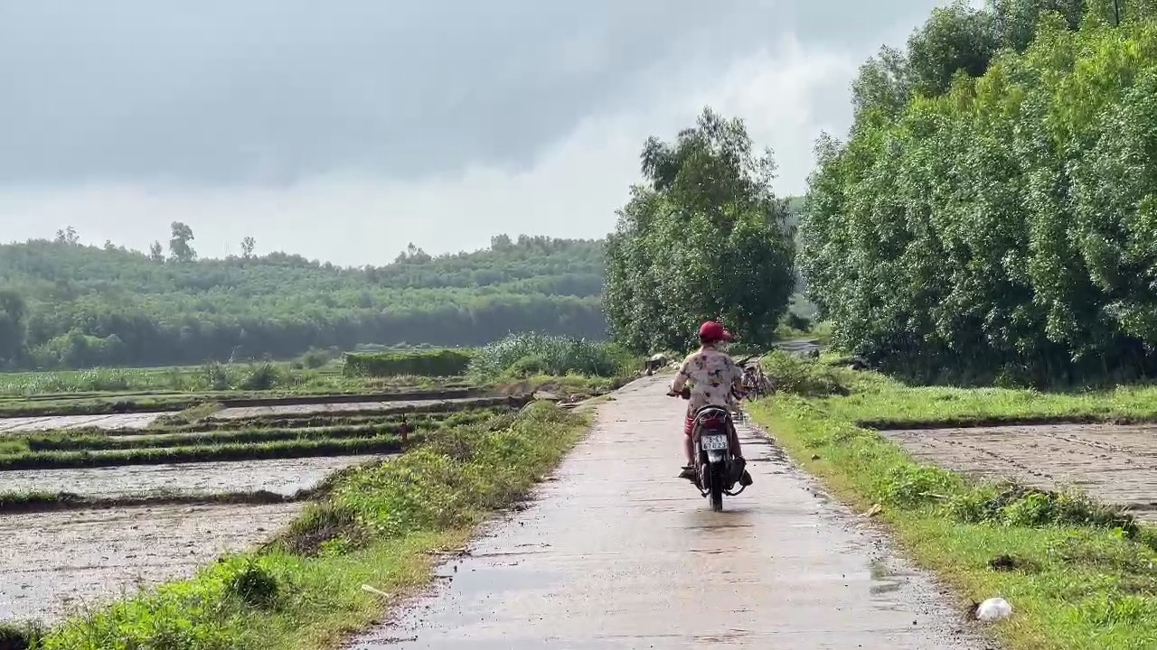 Quảng Ng&atilde;i loay hoay giải ph&oacute;ng mặt bằng dự &aacute;n đường 3.500 tỷ- Ảnh 3.