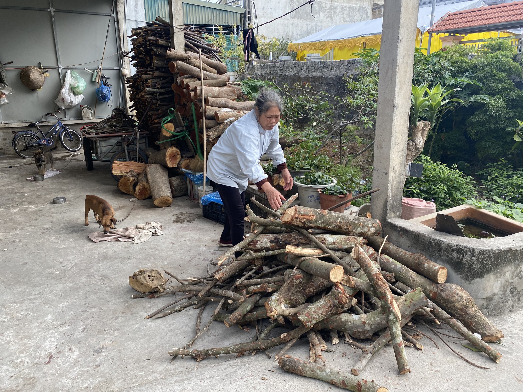 B&aacute;o Giao th&ocirc;ng trao tiền hỗ trợ 3 gia đ&igrave;nh c&oacute; người mất v&igrave; TNGT ở Quảng Ninh- Ảnh 2.