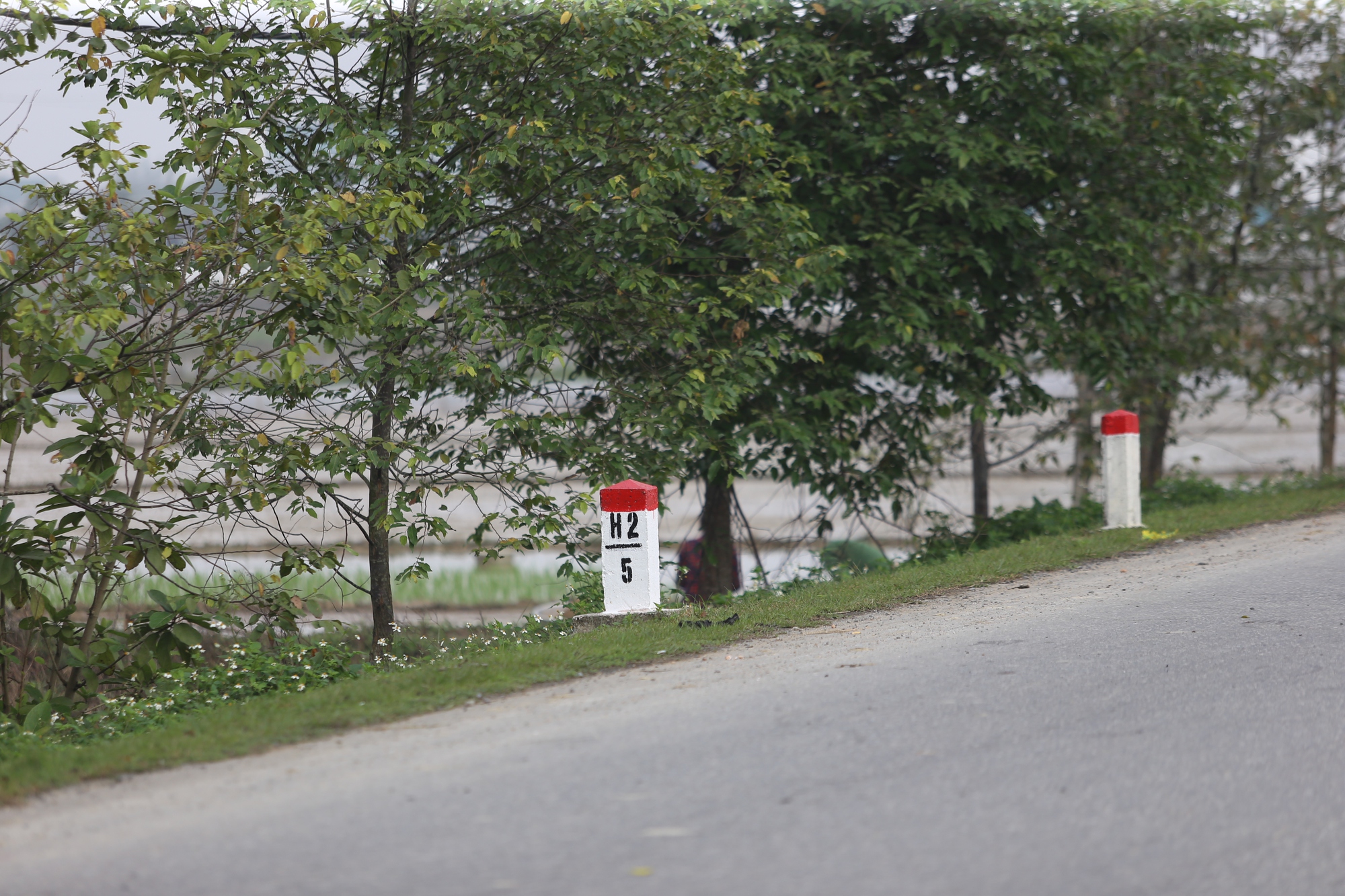 Hai vợ chồng gặp tai nạn tử vong thương t&acirc;m khi đi b&aacute;n h&agrave;ng l&uacute;c rạng s&aacute;ng- Ảnh 10.