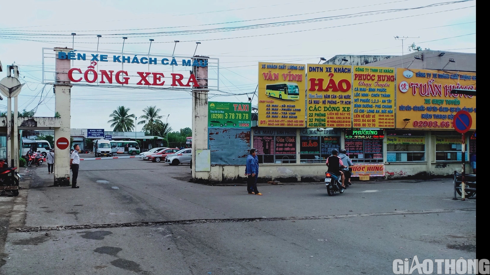 C&agrave; Mau vận động người d&acirc;n d&ugrave;ng phương tiện c&ocirc;ng cộng đi lại dịp Tết- Ảnh 1.