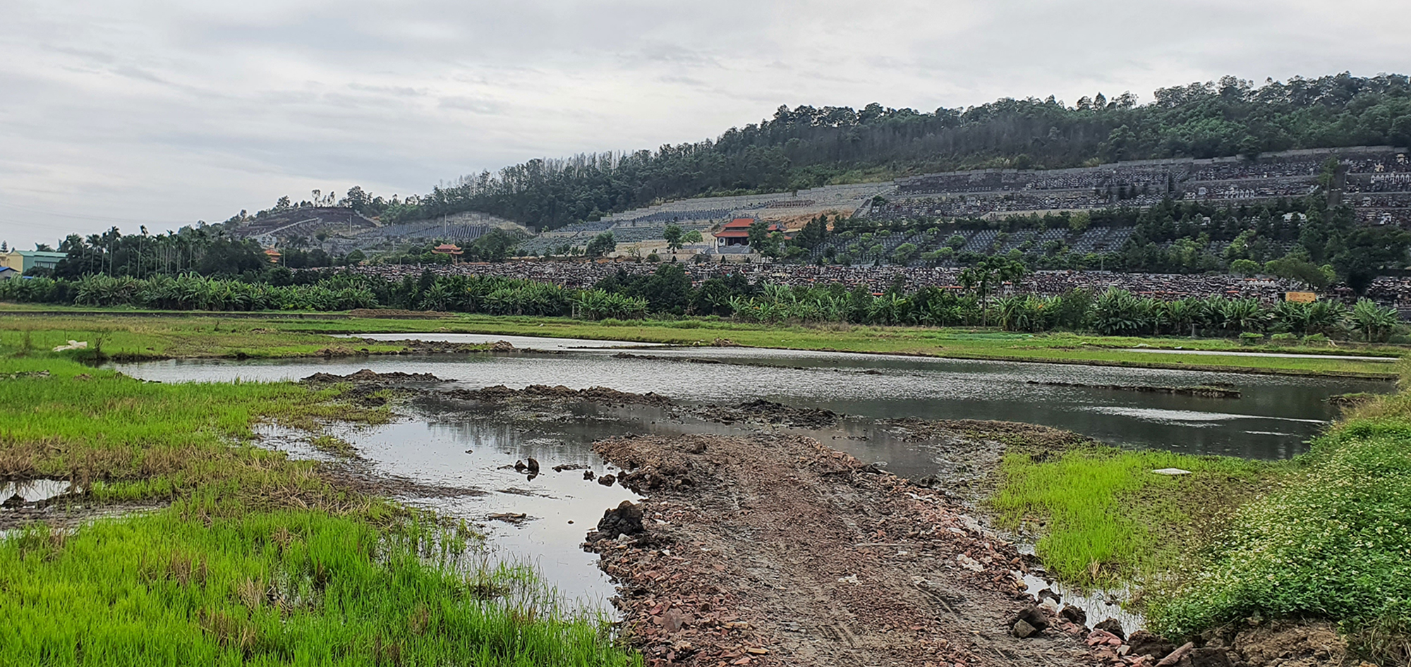 &ldquo;Đất tặc&rdquo; lộng h&agrave;nh v&igrave; chế t&agrave;i chưa đủ răn đe- Ảnh 2.