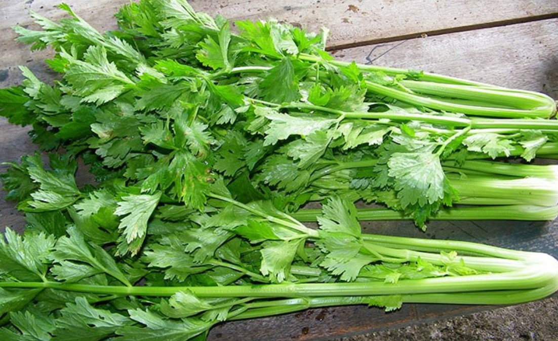 D&ugrave;ng cần t&acirc;y để giảm c&acirc;n sao cho đ&uacute;ng?- Ảnh 1.