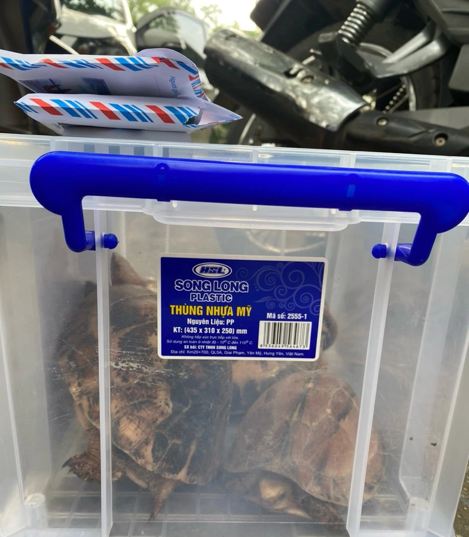 Khởi tố t&agrave;i xế vận chuyển 5 c&aacute; thể r&ugrave;a qu&yacute; hiếm- Ảnh 2.