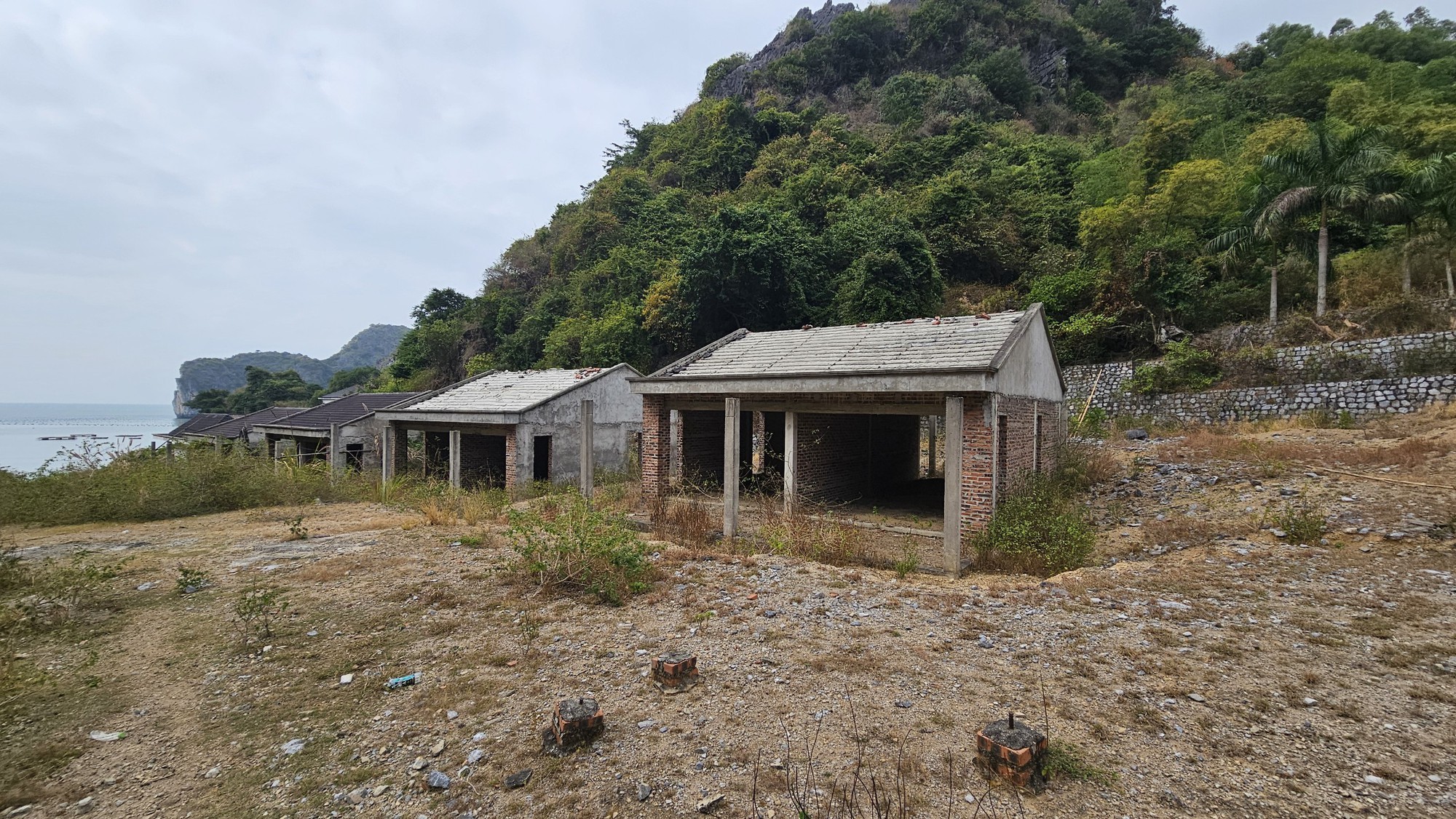 Hải Phòng: Lạ lùng loạt biệt thự ở khu du lịch thành nơi nuôi dê- Ảnh 9. Hải Phòng: Lạ lùng loạt biệt thự ở khu du lịch thành nơi nuôi dê- Ảnh 9.