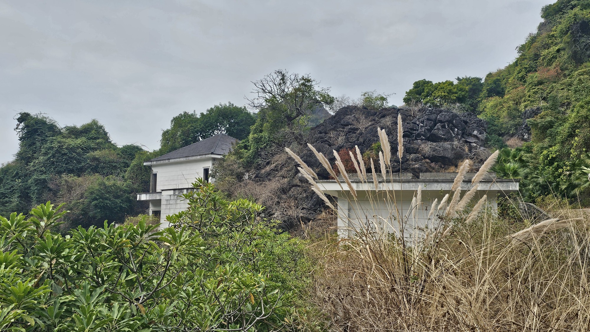 Hải Phòng: Lạ lùng loạt biệt thự ở khu du lịch thành nơi nuôi dê- Ảnh 8. Hải Phòng: Lạ lùng loạt biệt thự ở khu du lịch thành nơi nuôi dê- Ảnh 8.
