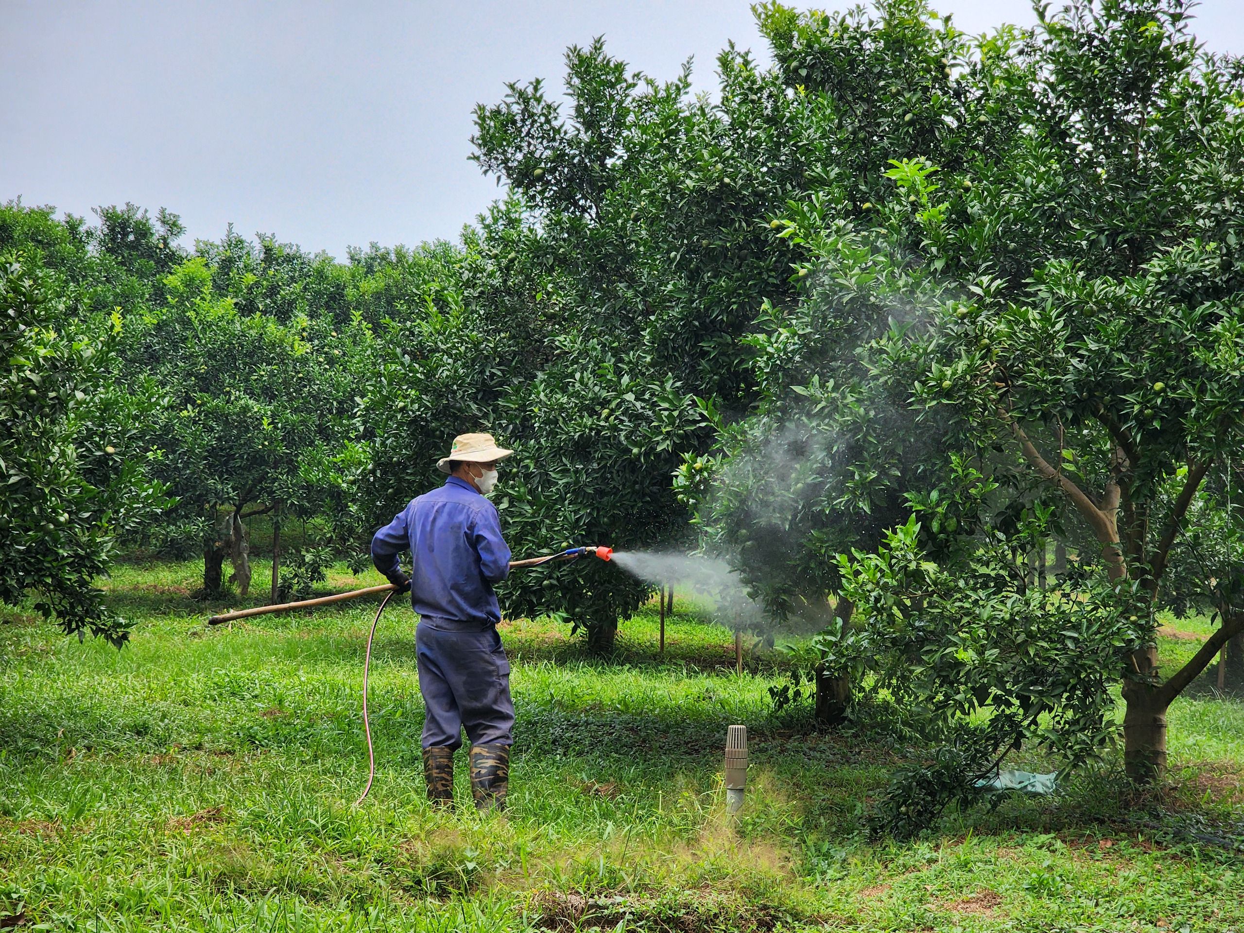 Đầu tư hạ tầng tạo đột ph&aacute; ph&aacute;t triển H&ograve;a B&igrave;nh - Ảnh 4.