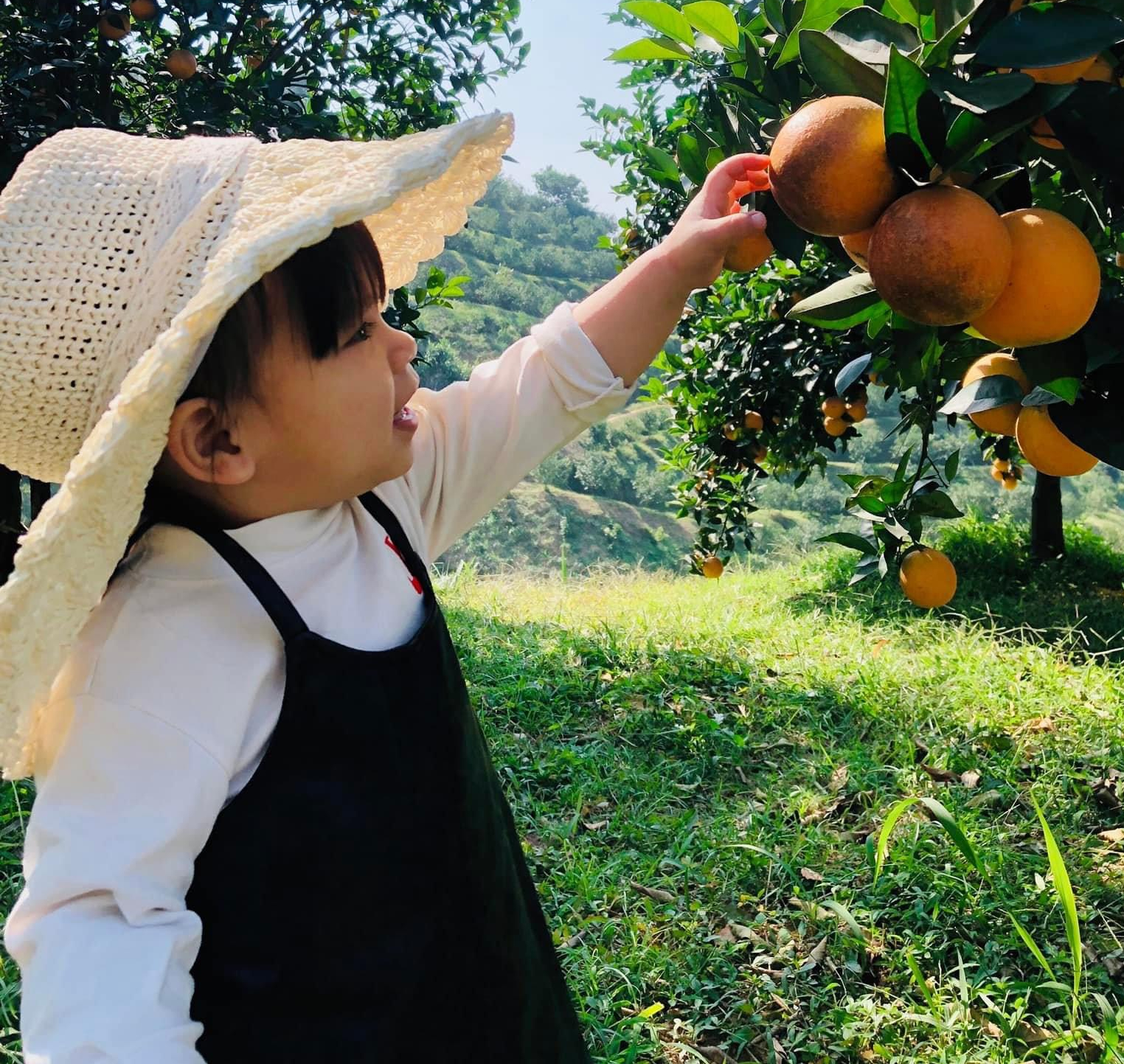 Đầu tư hạ tầng tạo đột ph&aacute; ph&aacute;t triển H&ograve;a B&igrave;nh - Ảnh 1.