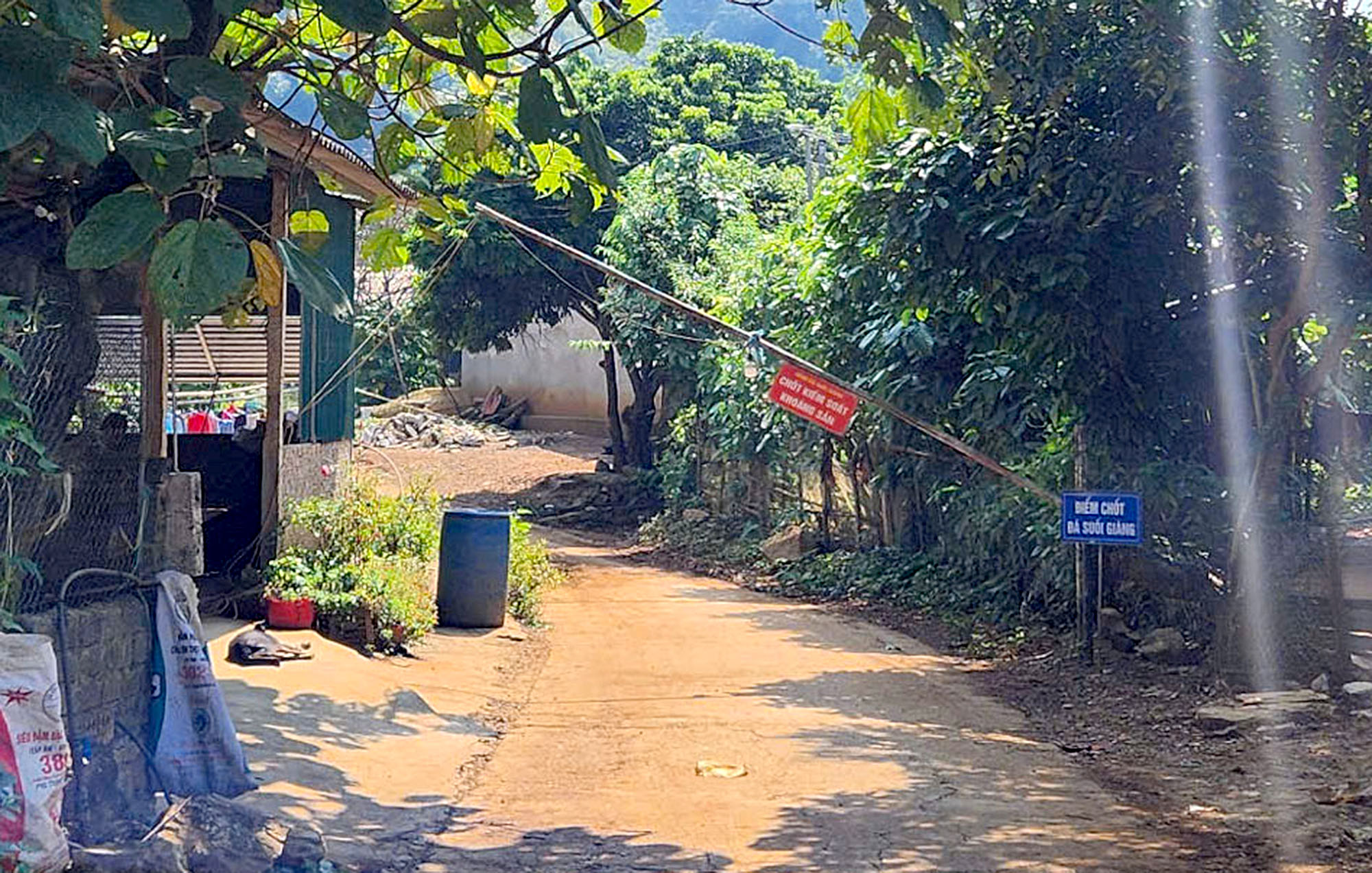 Y&ecirc;n B&aacute;i: Th&acirc;m nhập l&atilde;nh địa đ&aacute; cảnh lậu ở Suối Gi&agrave;ng- Ảnh 7.