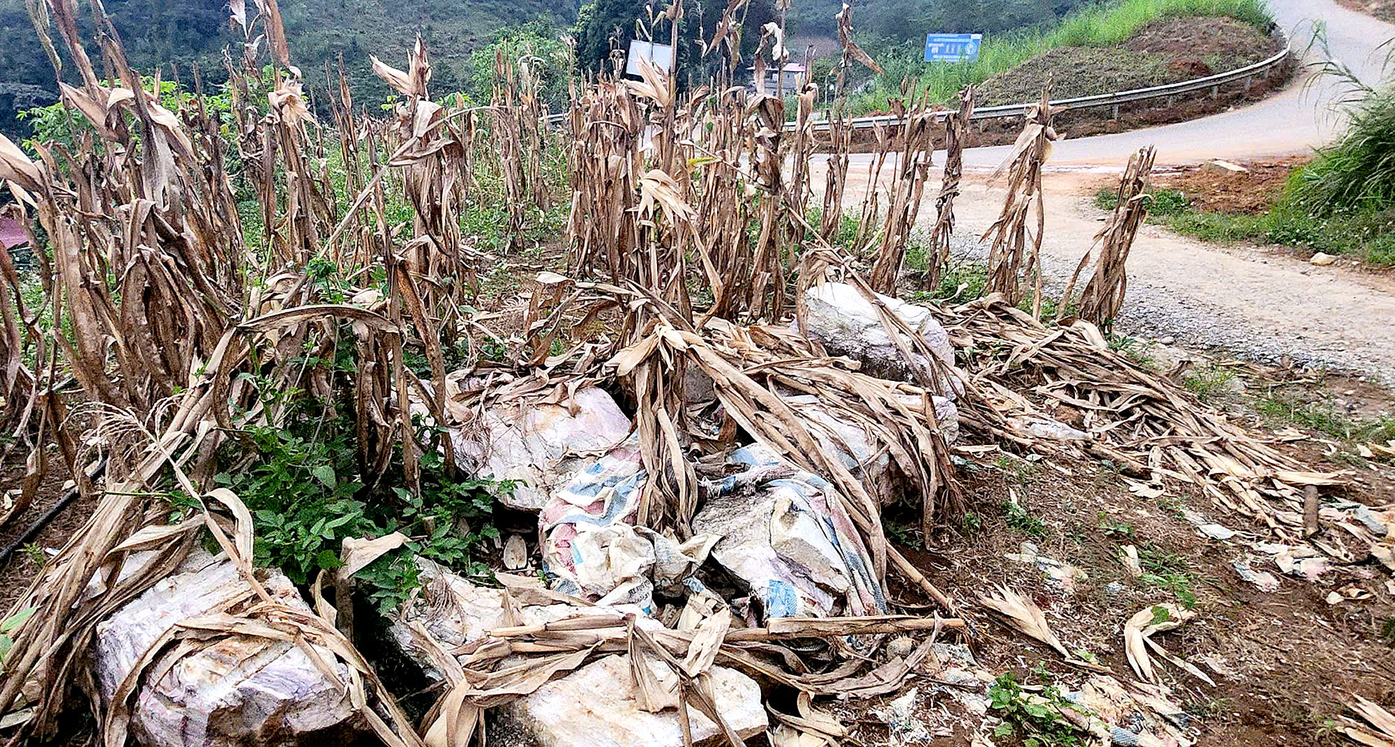 Y&ecirc;n B&aacute;i: Th&acirc;m nhập l&atilde;nh địa đ&aacute; cảnh lậu ở Suối Gi&agrave;ng- Ảnh 4.