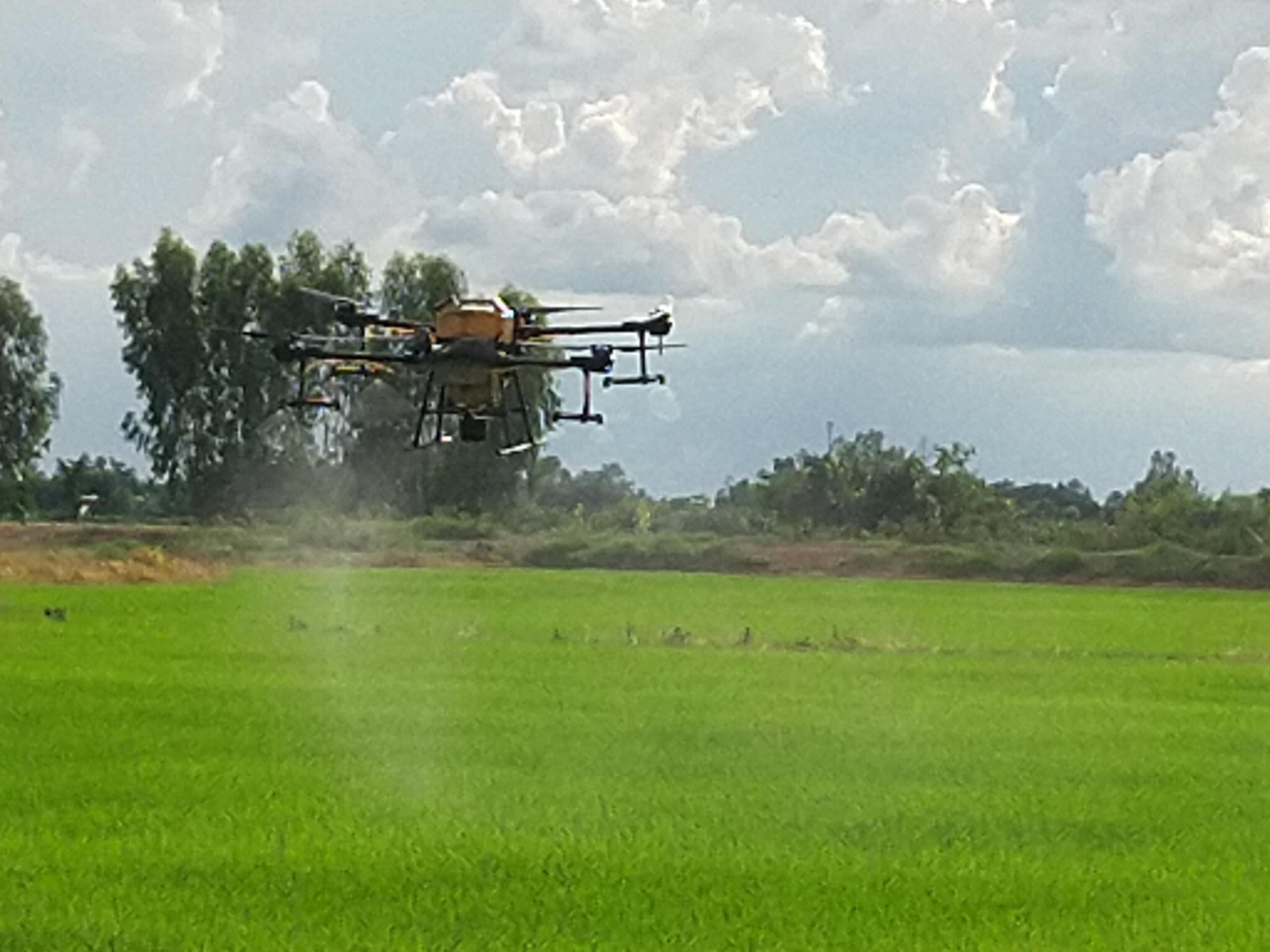 Thiết bị bay phun thuốc vướng đường d&acirc;y khiến 76.000 hộ d&acirc;n Long An mất điện- Ảnh 1.