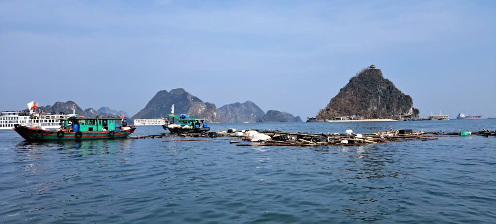 An to&agrave;n giao th&ocirc;ng vịnh Hạ Long được kh&ocirc;i phục, duy tr&igrave; sau b&atilde;o Yagi- Ảnh 1.