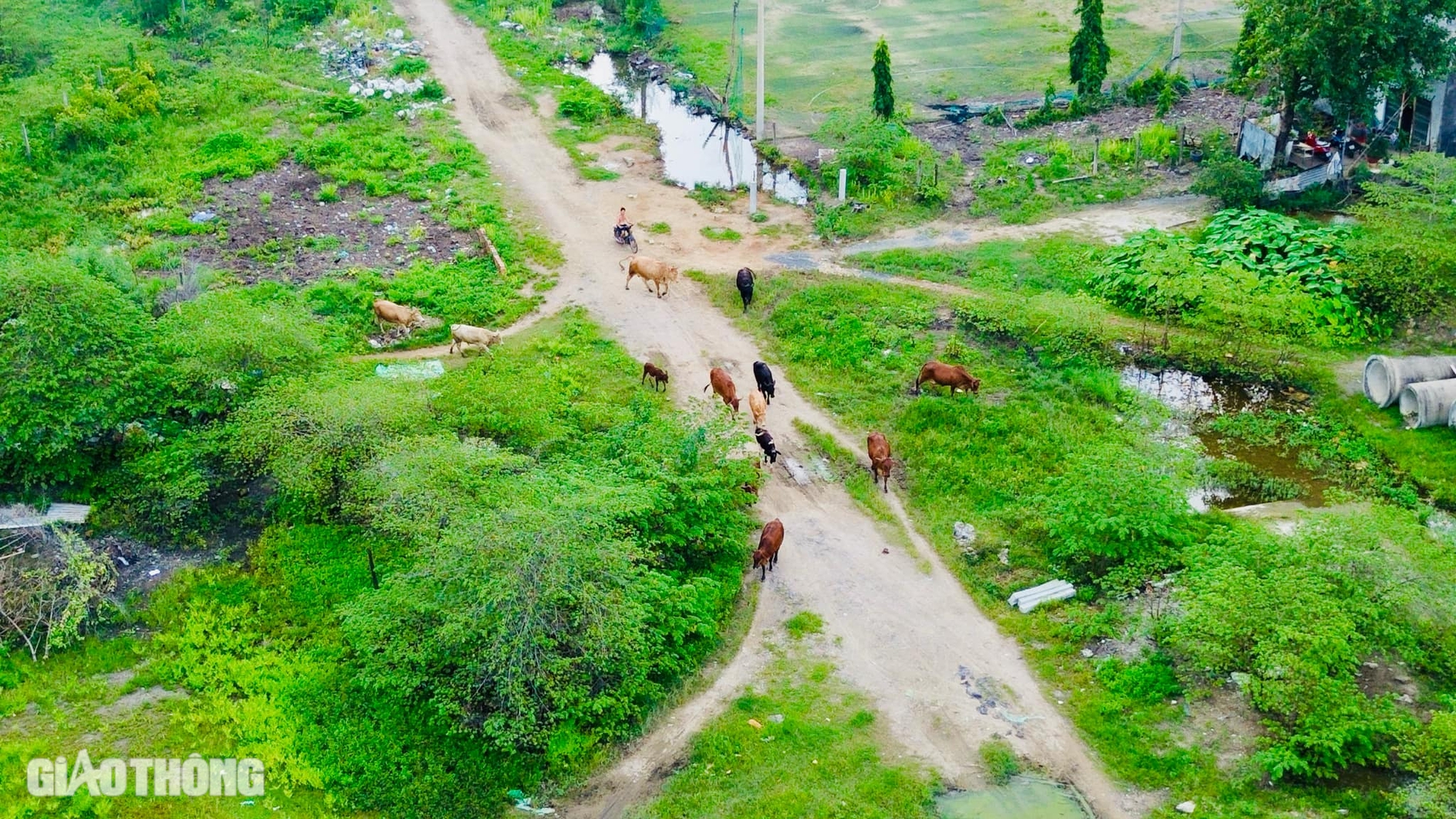 TP.HCM chốt phương &aacute;n thiết kế n&uacute;t giao V&agrave;nh đai 2 - Phạm Văn Đồng- Ảnh 2.