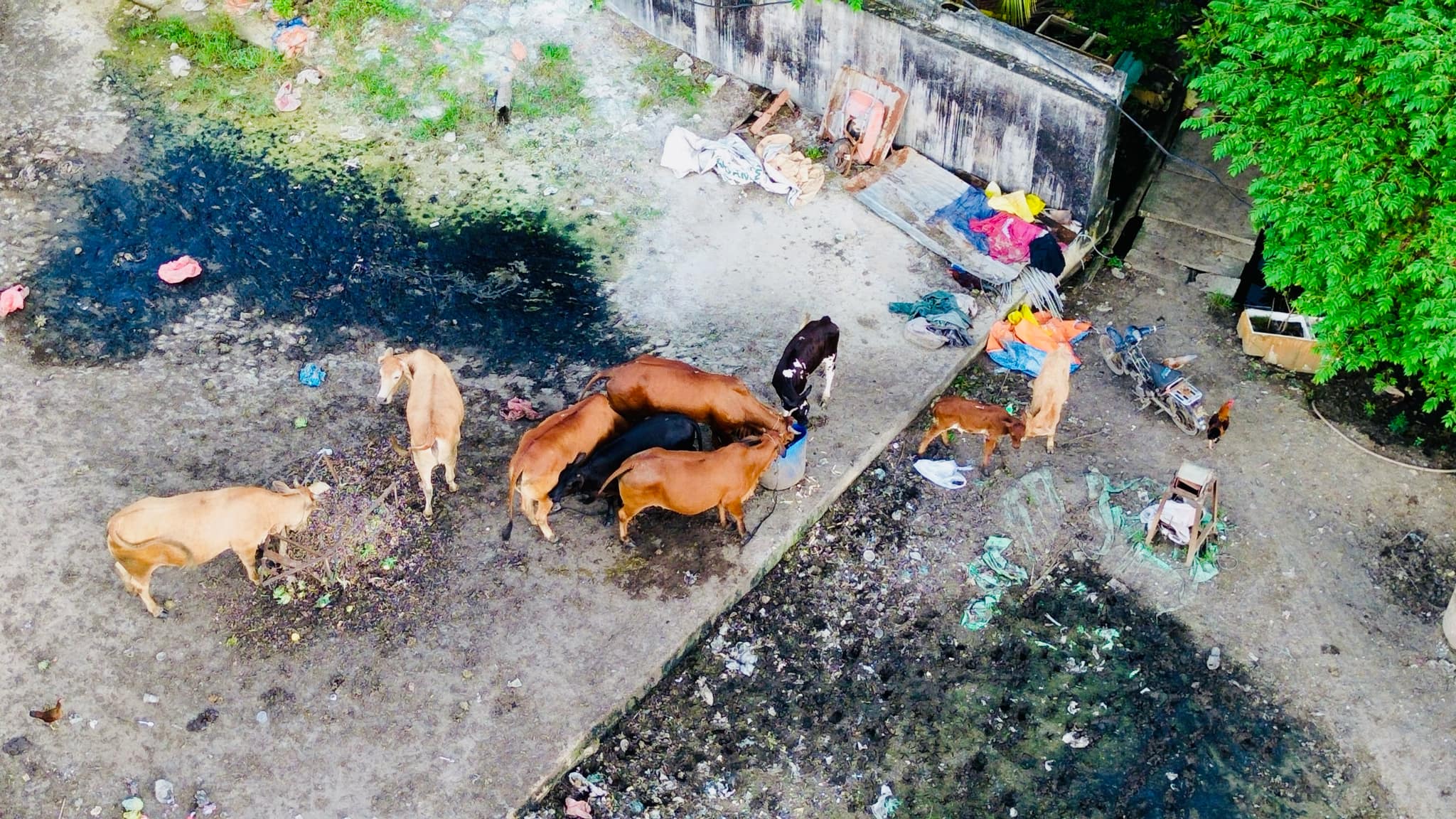 Dự &aacute;n V&agrave;nh đai 2 TP.HCM: Cần th&ecirc;m hai khu đất t&aacute;i định cư cho người d&acirc;n- Ảnh 3.