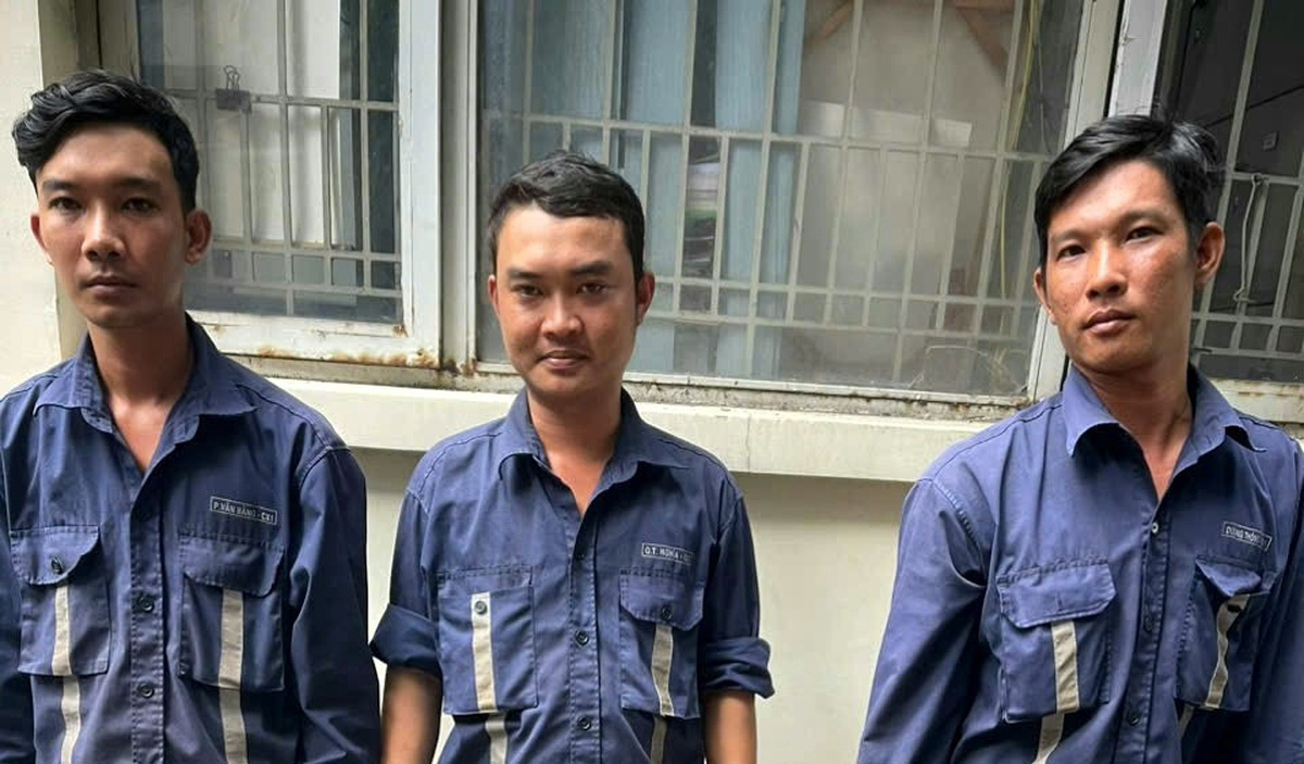 Bắt tạm giam 4 đối tượng chặt c&acirc;y kiểng tr&ecirc;n dải ph&acirc;n c&aacute;ch đường H&ugrave;ng Vương, TP Long An- Ảnh 1.