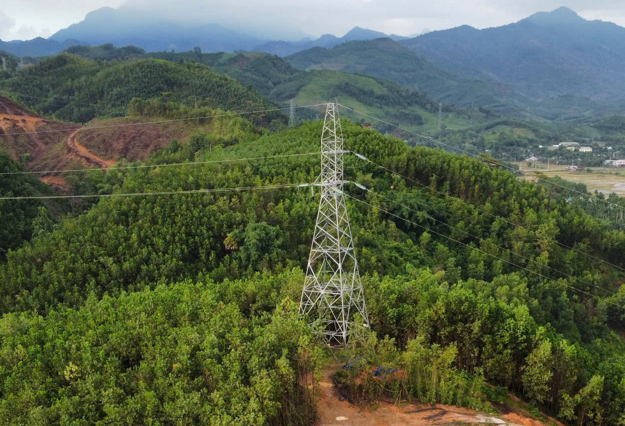 Vụ 64 trụ điện cao thế: C&ocirc;ng ty Đạt Phương Sơn Tr&agrave; nhận chuyển nhượng đất kh&ocirc;ng ch&iacute;nh chủ- Ảnh 2.