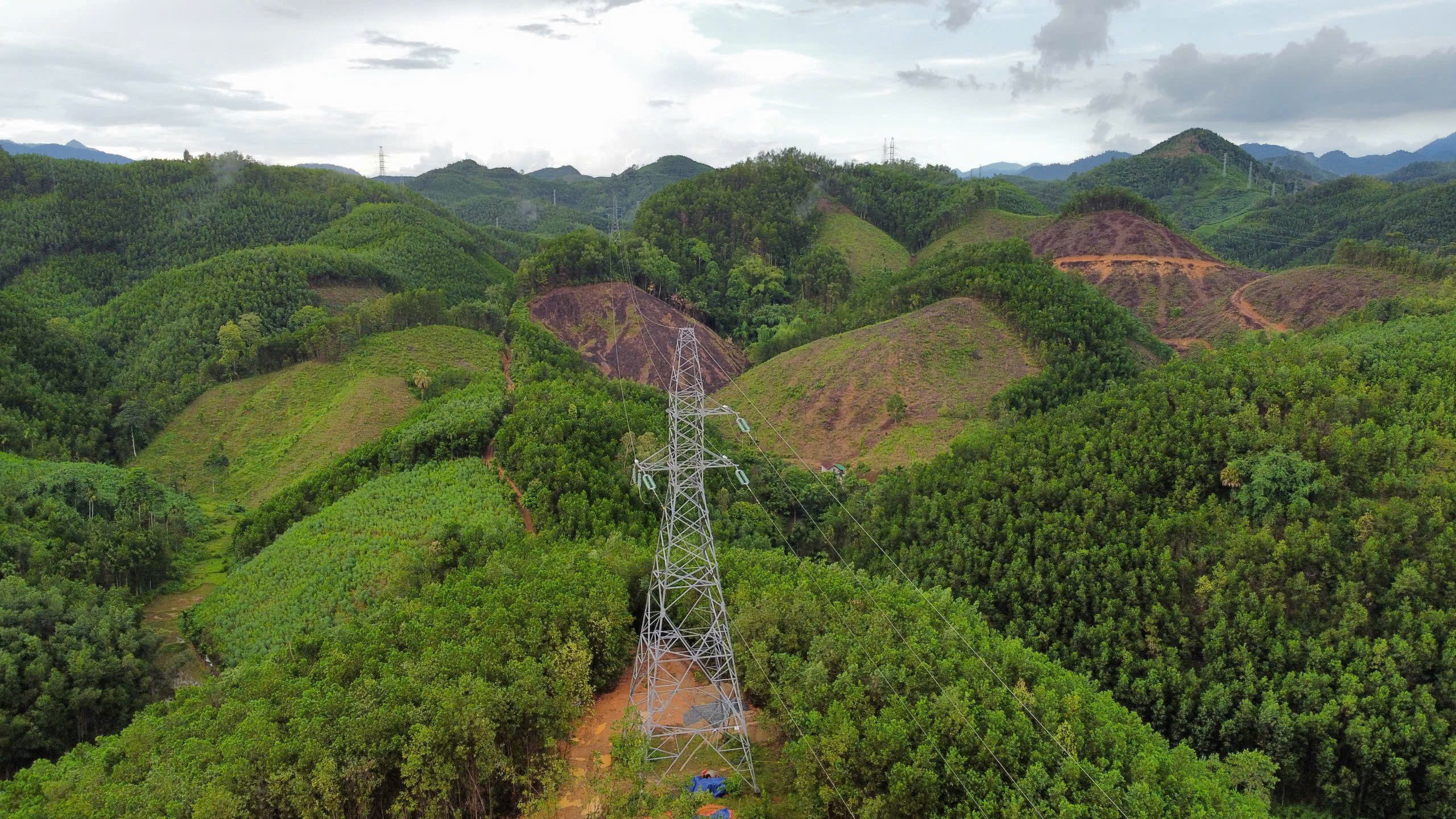 Vụ 64 trụ điện cao thế: C&ocirc;ng ty Đạt Phương Sơn Tr&agrave; nhận chuyển nhượng đất kh&ocirc;ng ch&iacute;nh chủ- Ảnh 1.