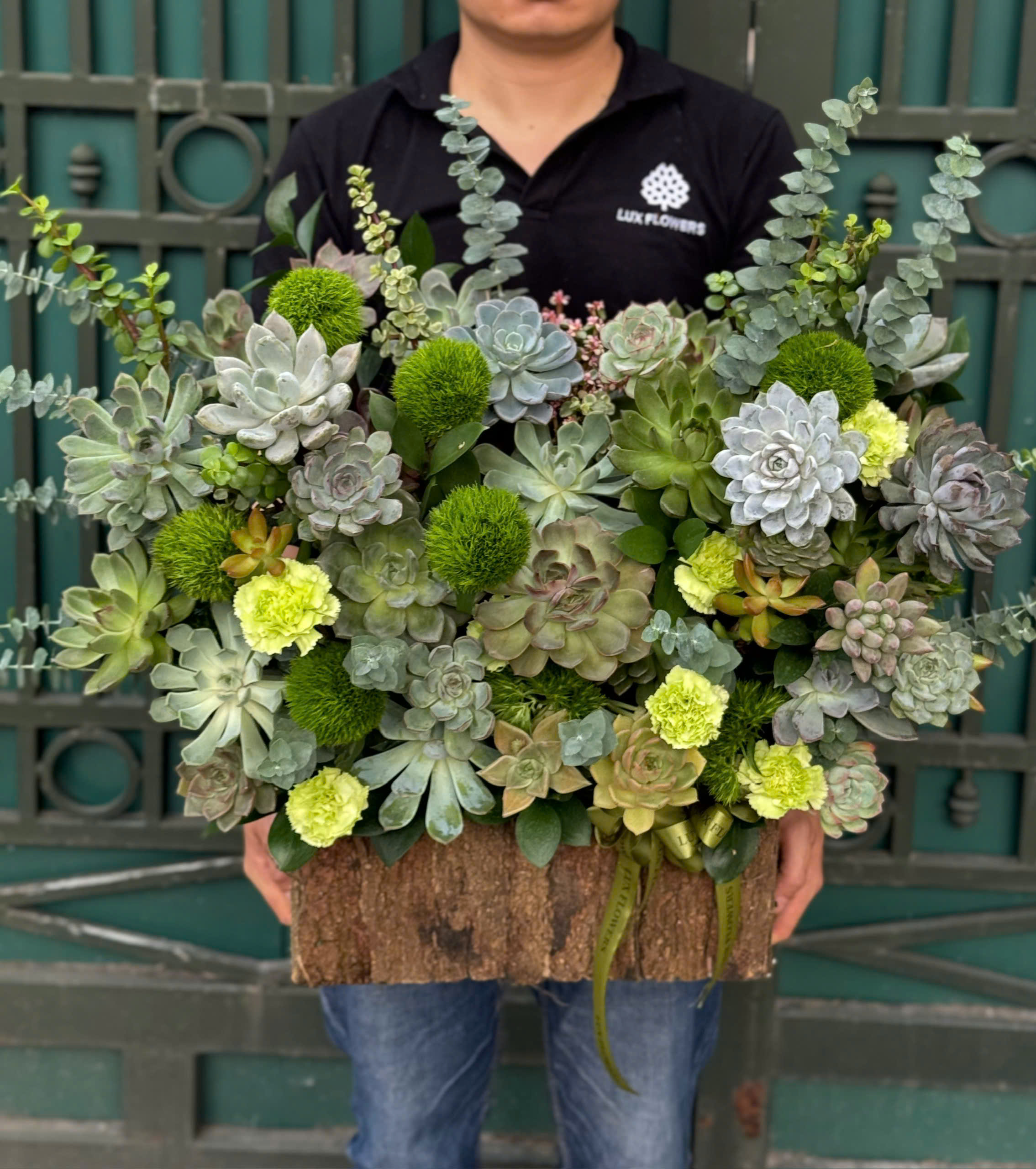 Sen đá lên ngôi thị trường hoa, quà tặng dịp 20/10- Ảnh 5. Sen đá lên ngôi thị trường hoa, quà tặng dịp 20/10- Ảnh 5.