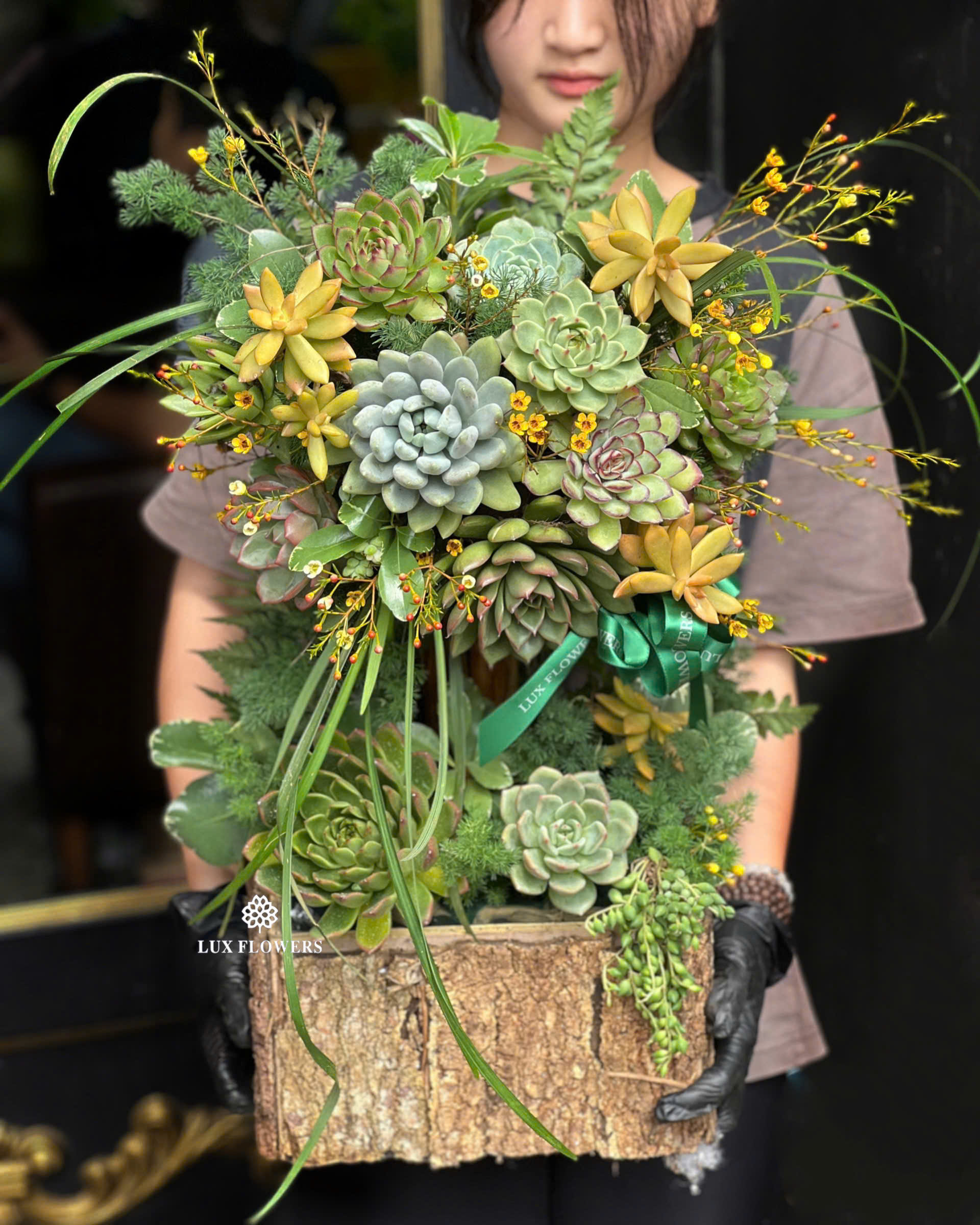 Sen đá lên ngôi thị trường hoa, quà tặng dịp 20/10- Ảnh 9. Sen đá lên ngôi thị trường hoa, quà tặng dịp 20/10- Ảnh 9.