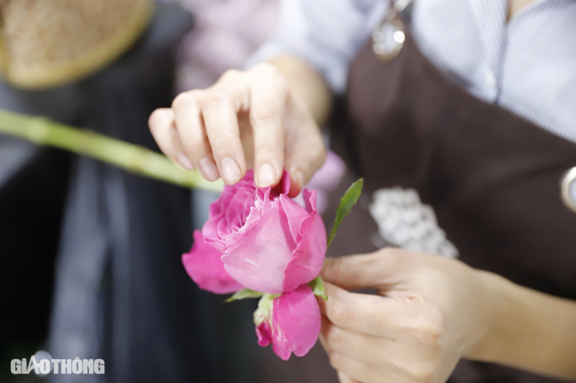 Hoa nhập ngoại tiền triệu mỗi bông, khách vẫn mạnh tay tặng phái đẹp dịp 20/10- Ảnh 13. Hoa nhập ngoại tiền triệu mỗi bông, khách vẫn mạnh tay tặng phái đẹp dịp 20/10- Ảnh 13.