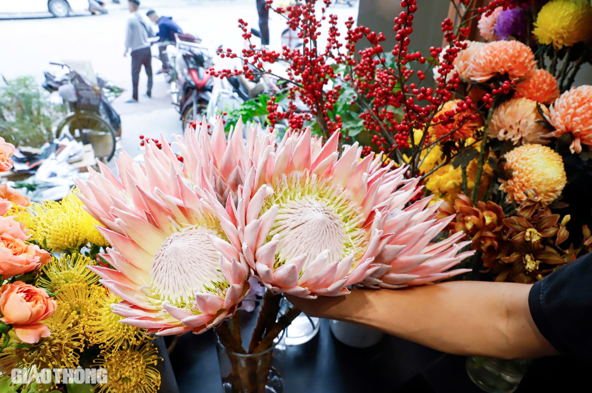 Hoa nhập ngoại tiền triệu mỗi bông, khách vẫn mạnh tay tặng phái đẹp dịp 20/10- Ảnh 11. Hoa nhập ngoại tiền triệu mỗi bông, khách vẫn mạnh tay tặng phái đẹp dịp 20/10- Ảnh 11.