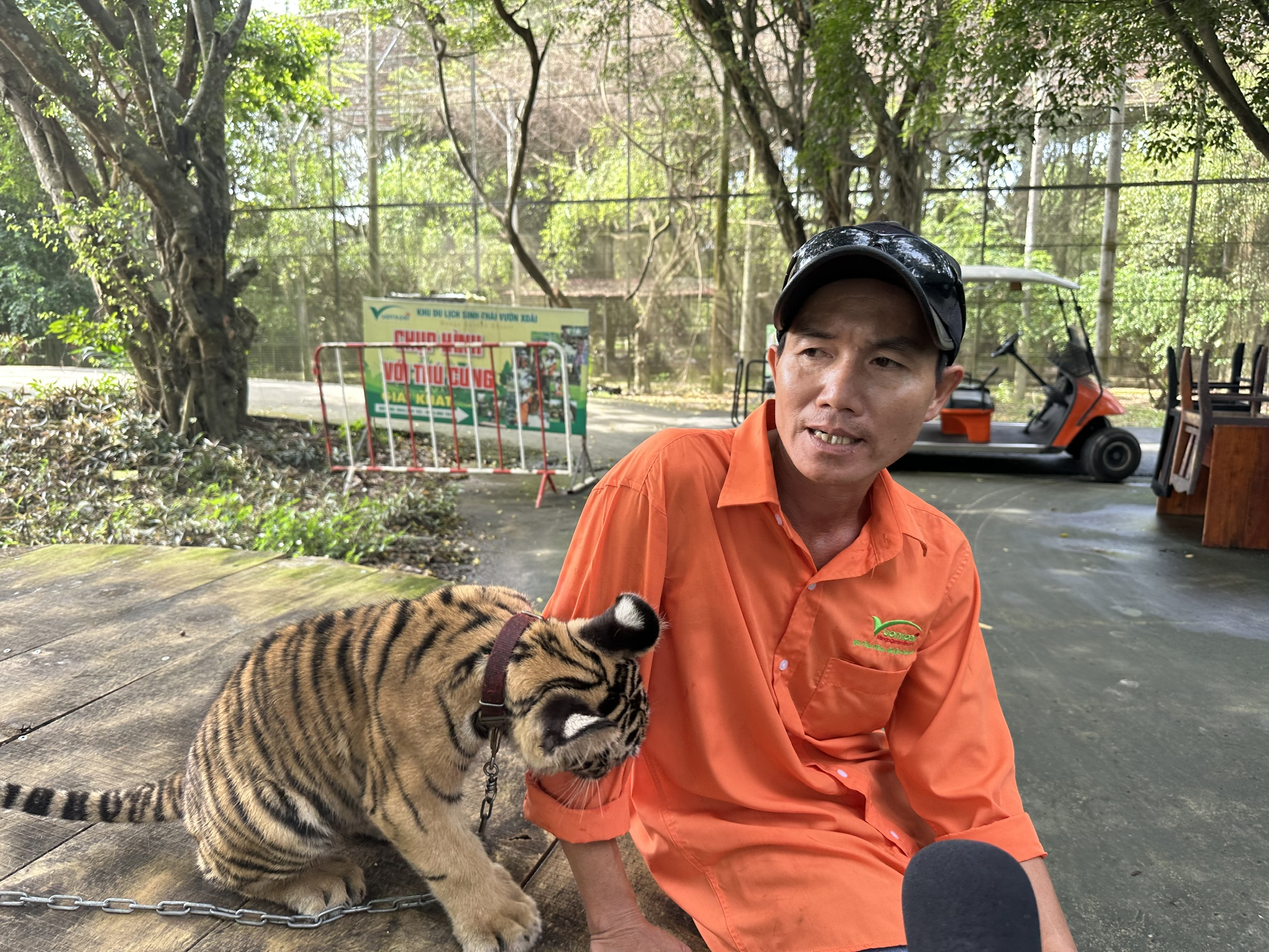 Lấy mẫu x&eacute;t nghiệm người tiếp x&uacute;c với nhiều hổ chết tại khu Vườn Xo&agrave;i- Ảnh 2.