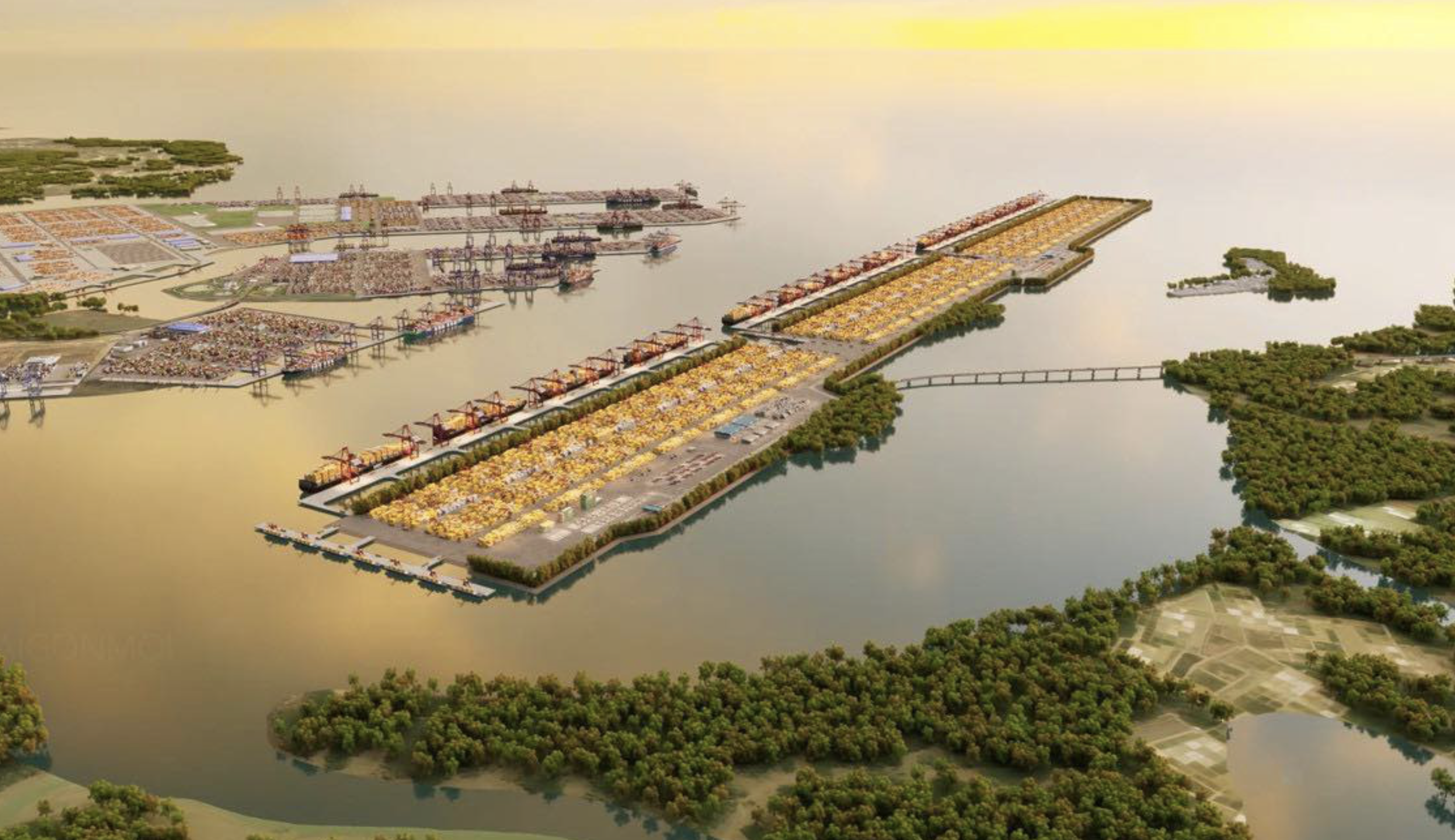 Sớm x&acirc;y dựng si&ecirc;u cảng Cần Giờ- Ảnh 1.