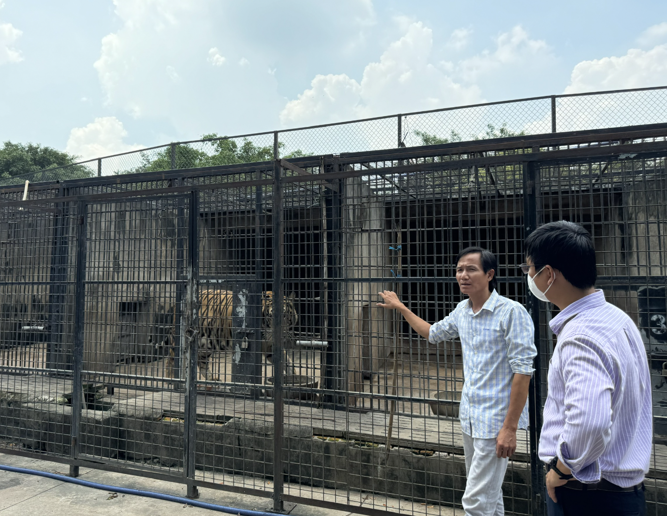 Hổ chết h&agrave;ng loạt ở khu du lịch Vườn Xo&agrave;i: Nghi do ăn g&agrave; nhiễm bệnh- Ảnh 1.