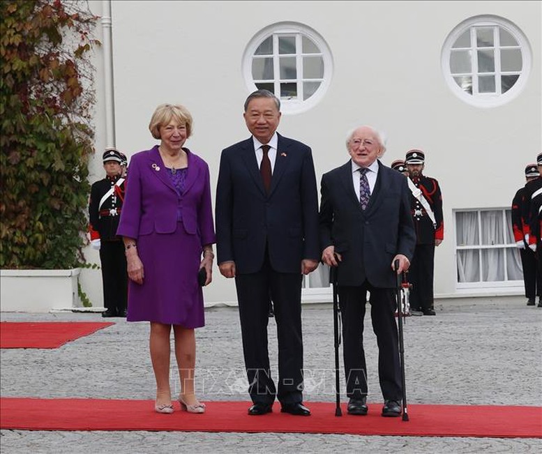 Tổng thống Ireland chủ tr&igrave; lễ đ&oacute;n ch&iacute;nh thức Tổng B&iacute; thư, Chủ tịch nước T&ocirc; L&acirc;m- Ảnh 2.