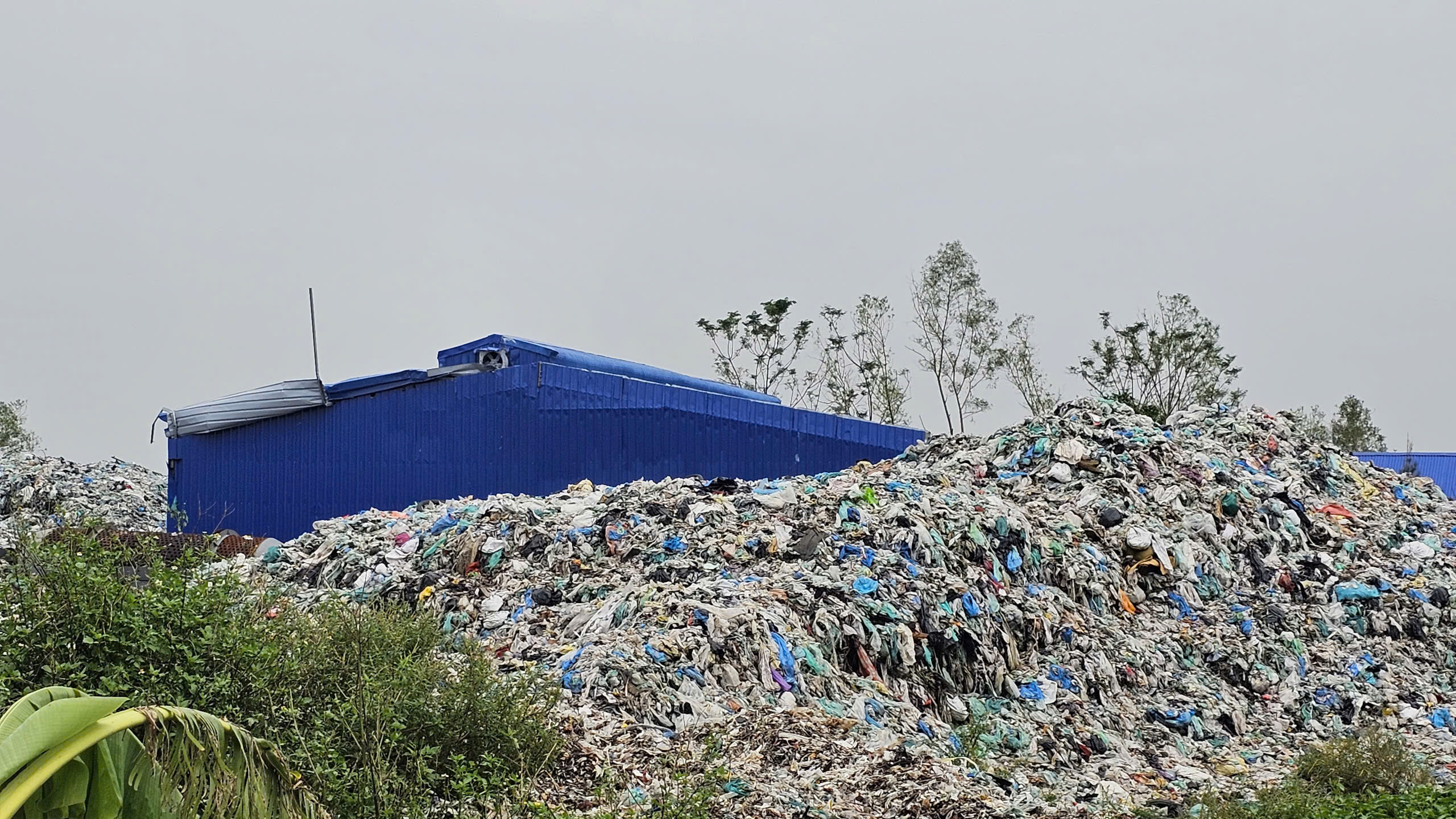 Vụ doanh nghiệp thu tiền rồi để tồn "n&uacute;i" r&aacute;c: Đ&atilde; c&oacute; đơn vị xử l&yacute;- Ảnh 2.