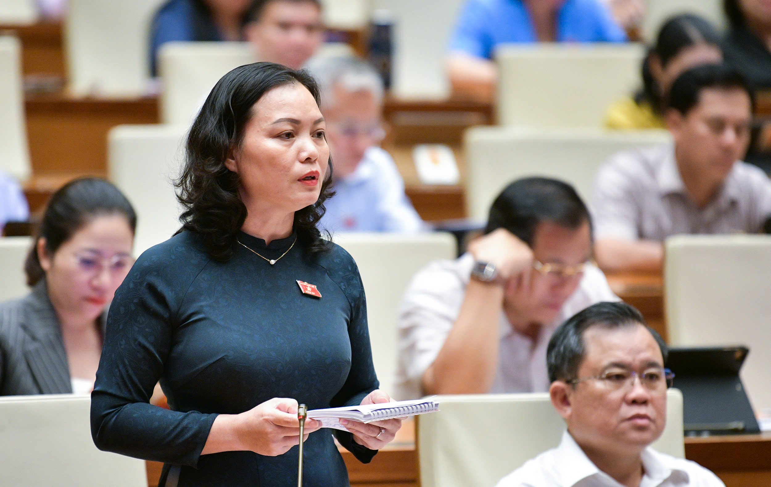 Đại biểu đồng t&igrave;nh quy định nghi&ecirc;m cấm thỏa thuận mua b&aacute;n người từ khi l&agrave; b&agrave;o thai- Ảnh 3.