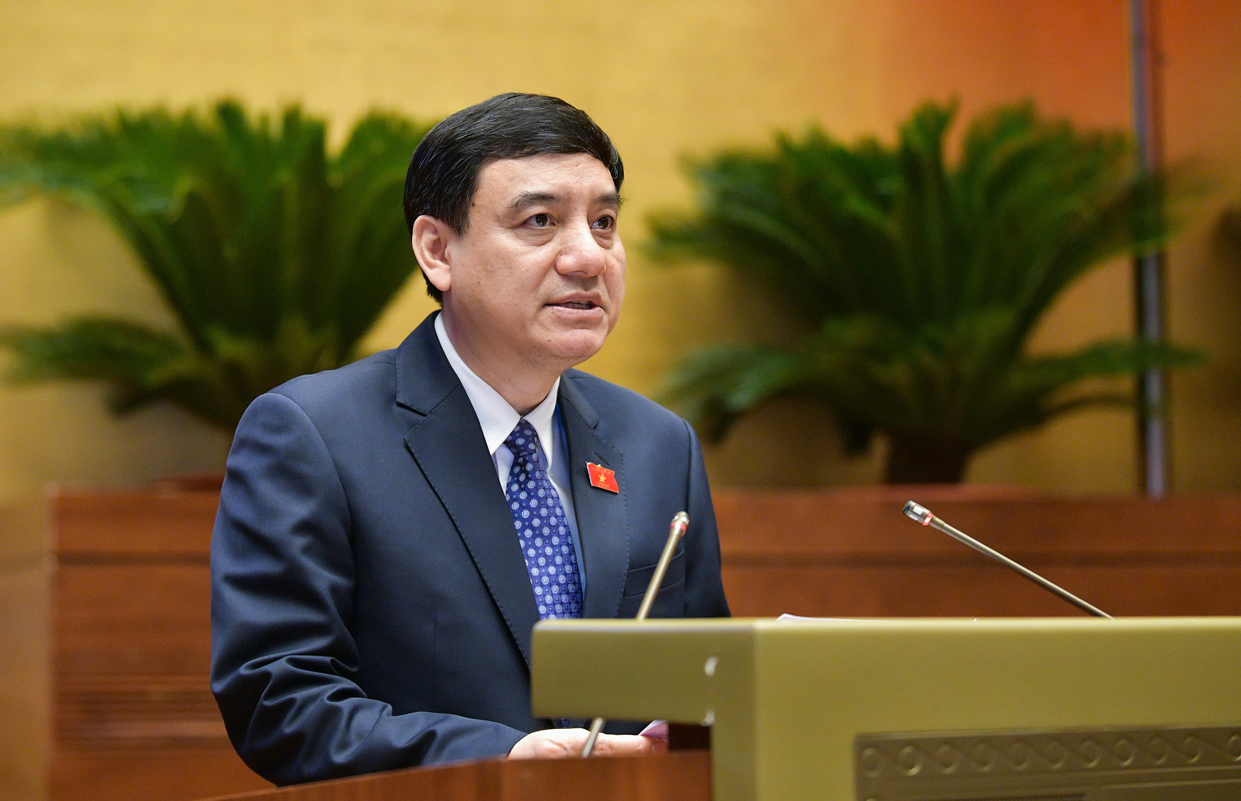 ĐBQH tranh luận việc th&agrave;nh lập quỹ bảo tồn di sản văn ho&aacute;- Ảnh 5.