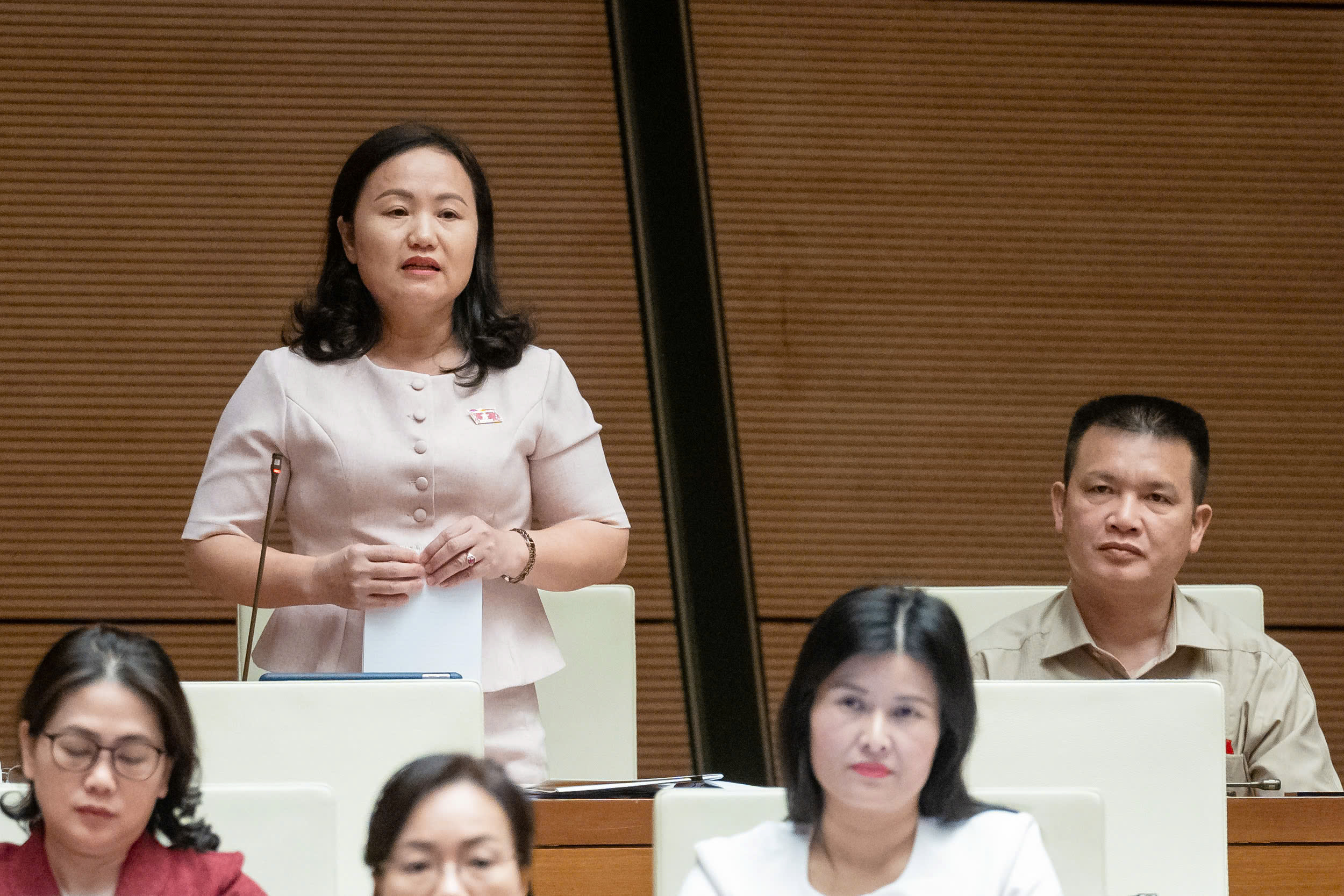 ĐBQH tranh luận việc th&agrave;nh lập quỹ bảo tồn di sản văn ho&aacute;- Ảnh 3.