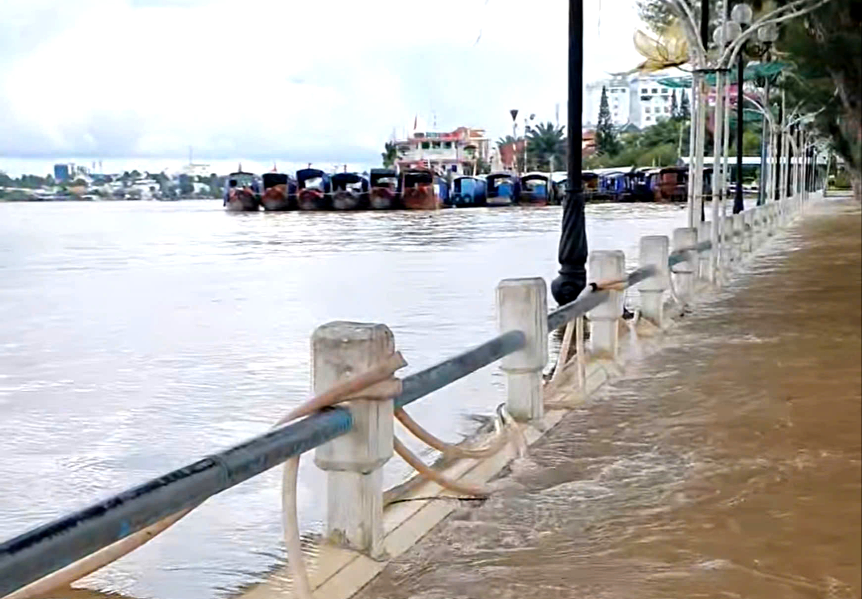 Cần Thơ: C&oacute; "l&aacute; chắn" ngh&igrave;n tỷ, bến Ninh Kiều vẫn ch&igrave;m trong nước- Ảnh 8.