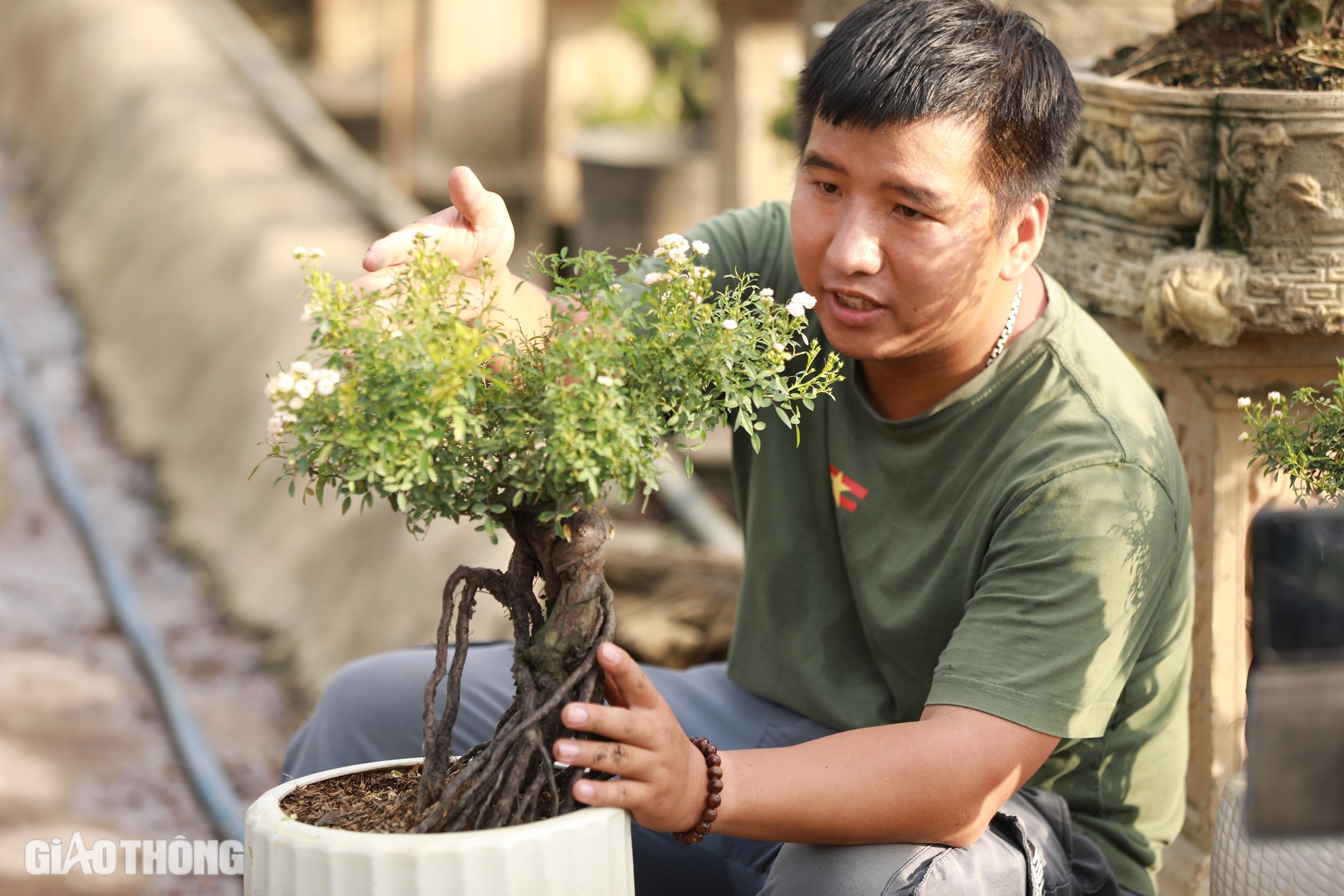 Gh&eacute;p th&agrave;nh c&ocirc;ng giống hoa hồng ngoại, ch&agrave;ng trai 9x thu về h&agrave;ng tỷ đồng mỗi năm- Ảnh 7.
