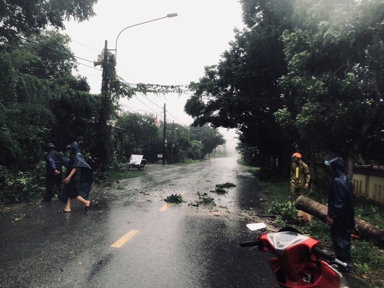 B&atilde;o Tr&agrave; Mi suy yếu th&agrave;nh &aacute;p thấp nhiệt đới- Ảnh 14.