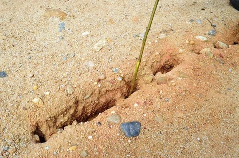 Quảng Ng&atilde;i lo vỡ đập hồ chứa nước dung t&iacute;ch 1,5 triệu m3- Ảnh 1.