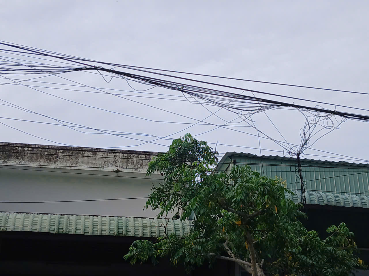 C&aacute;p điện, viễn th&ocirc;ng giăng "mạng nhện" tr&ecirc;n phố Cần Thơ- Ảnh 5.